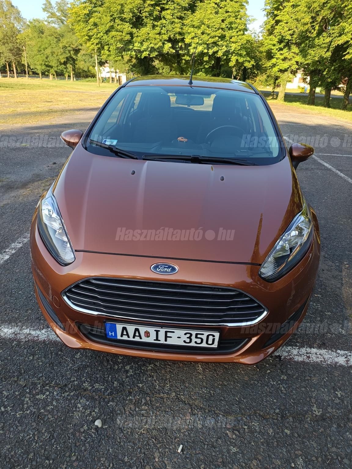 FORD FIESTA 2014/6 - 1