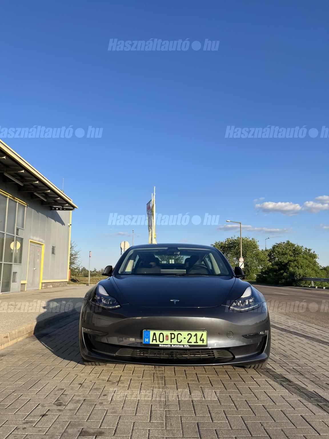 TESLA MODEL 3 2021/3 - 1