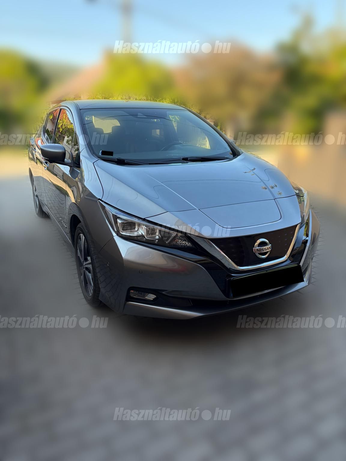 NISSAN LEAF 2019/2 - 1