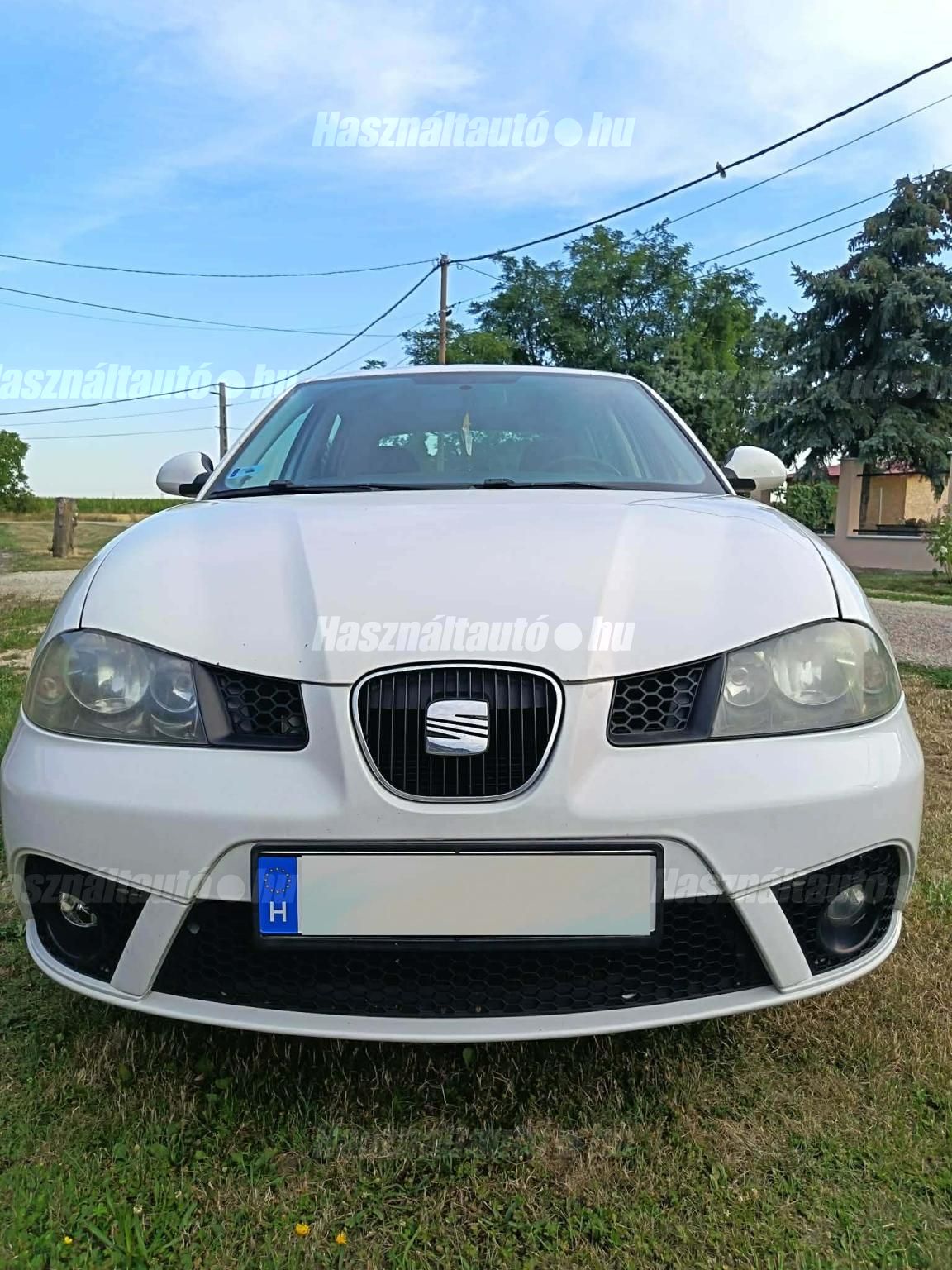 SEAT IBIZA 2009/1 - 1