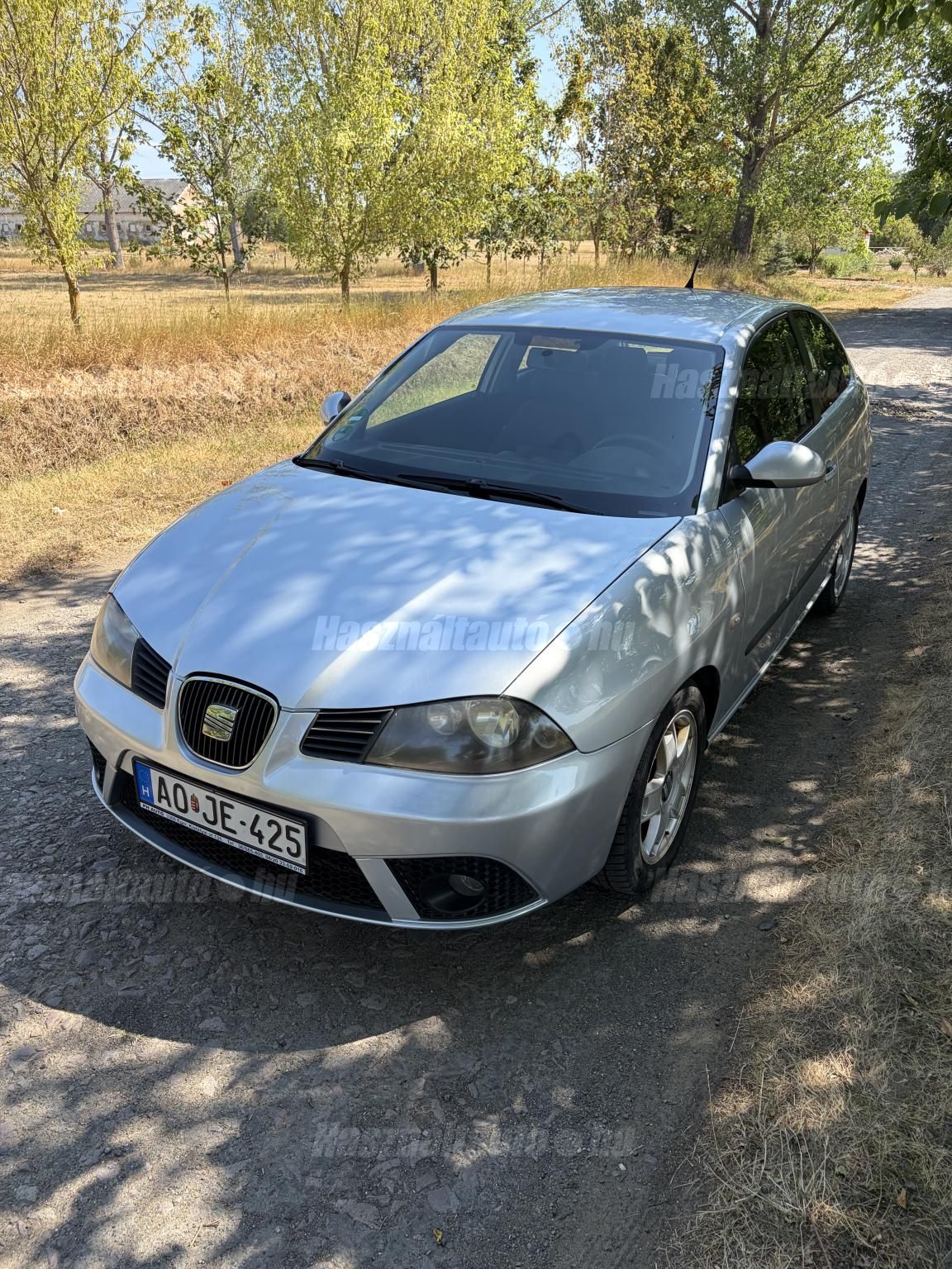 SEAT IBIZA 2007/6 - 1