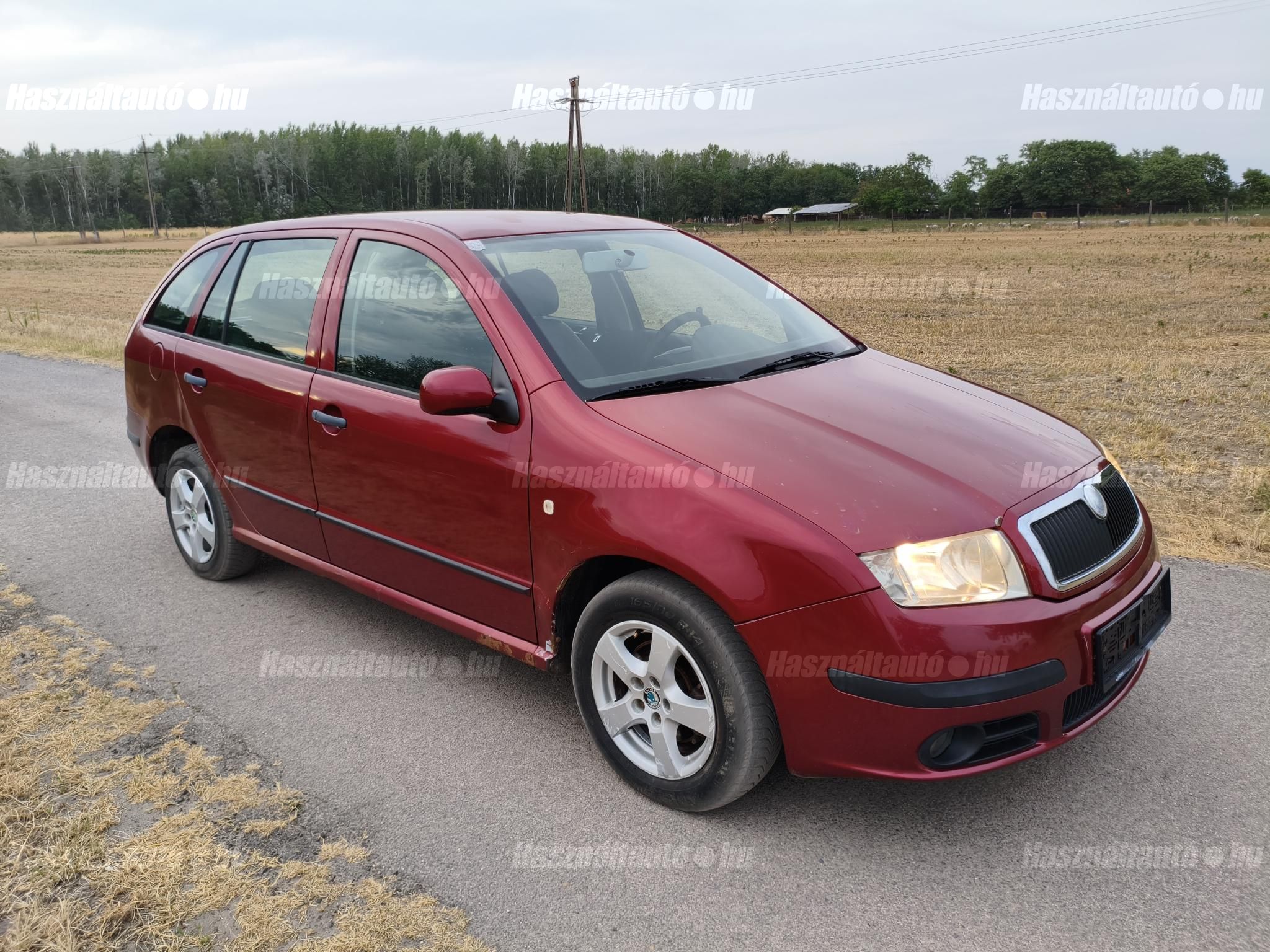 SKODA FABIA 2007 - 1