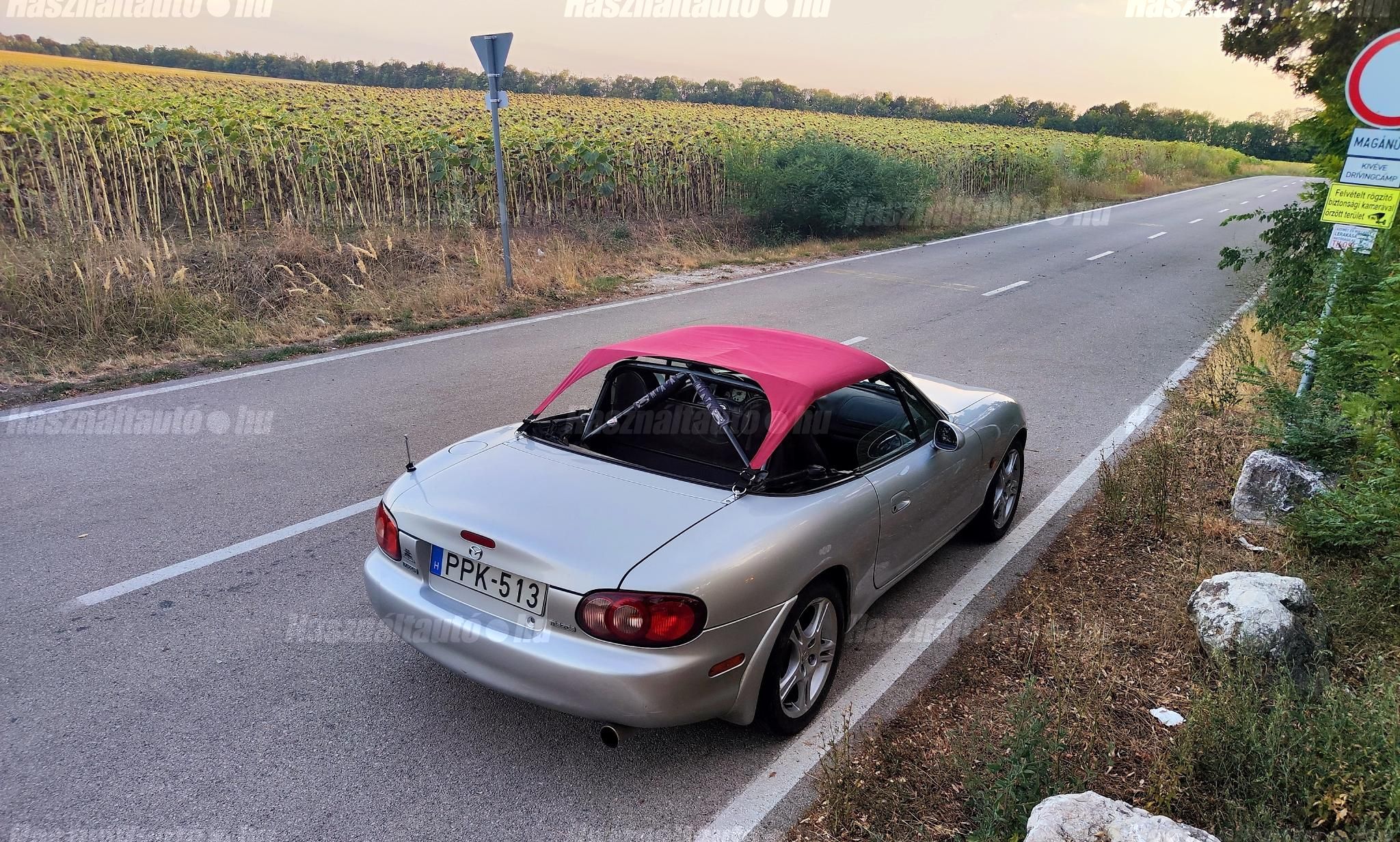 Bikinitető