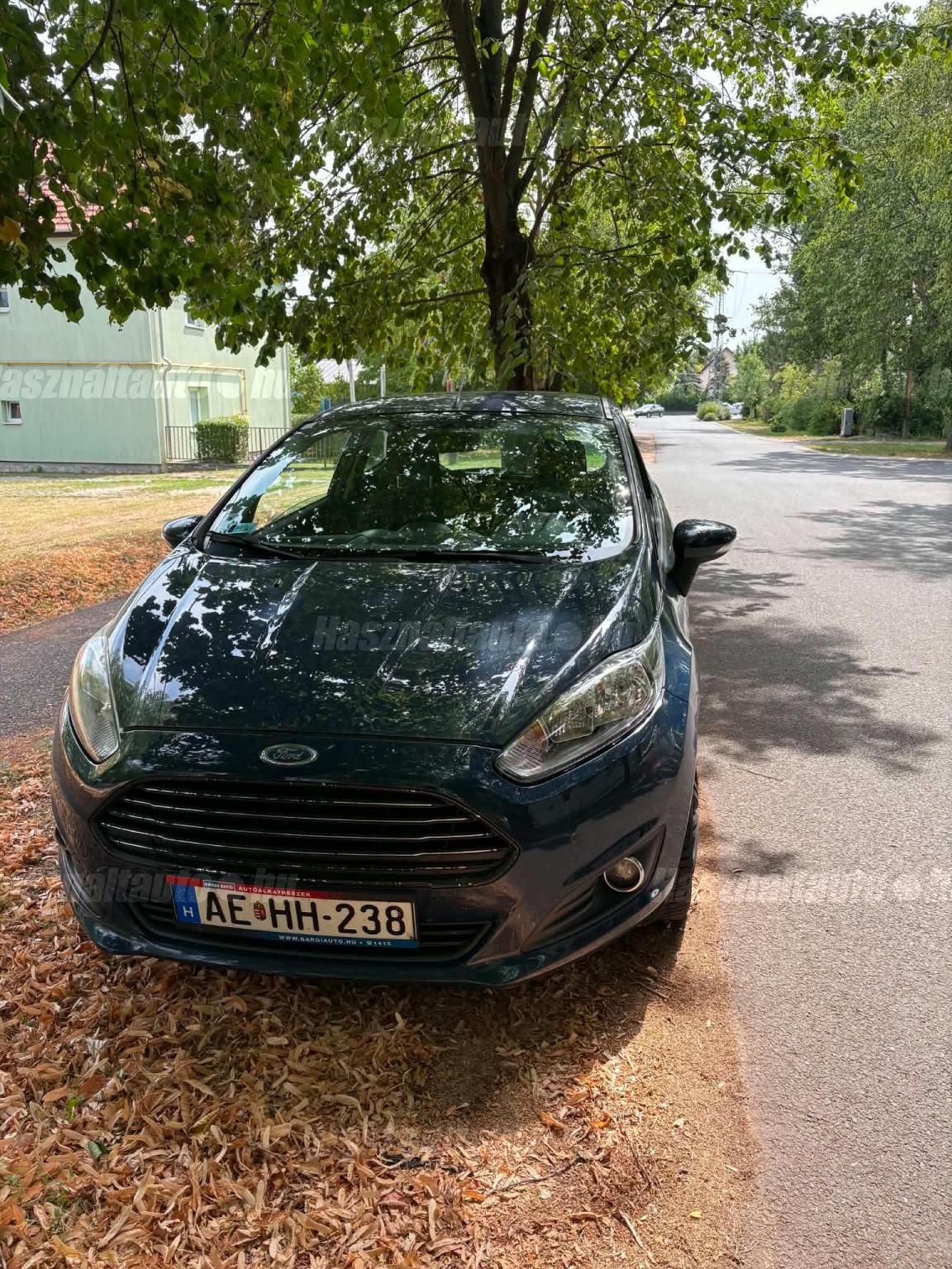 FORD FIESTA 2014/5 - 1