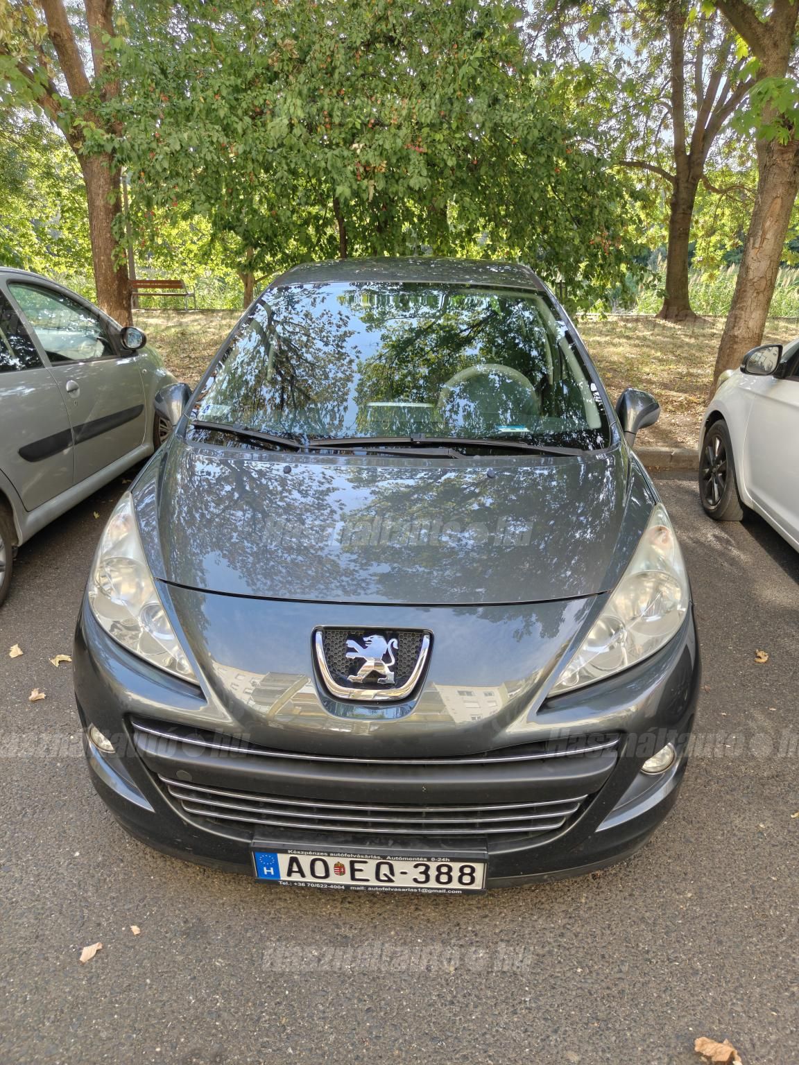 PEUGEOT 207 2010 - 1