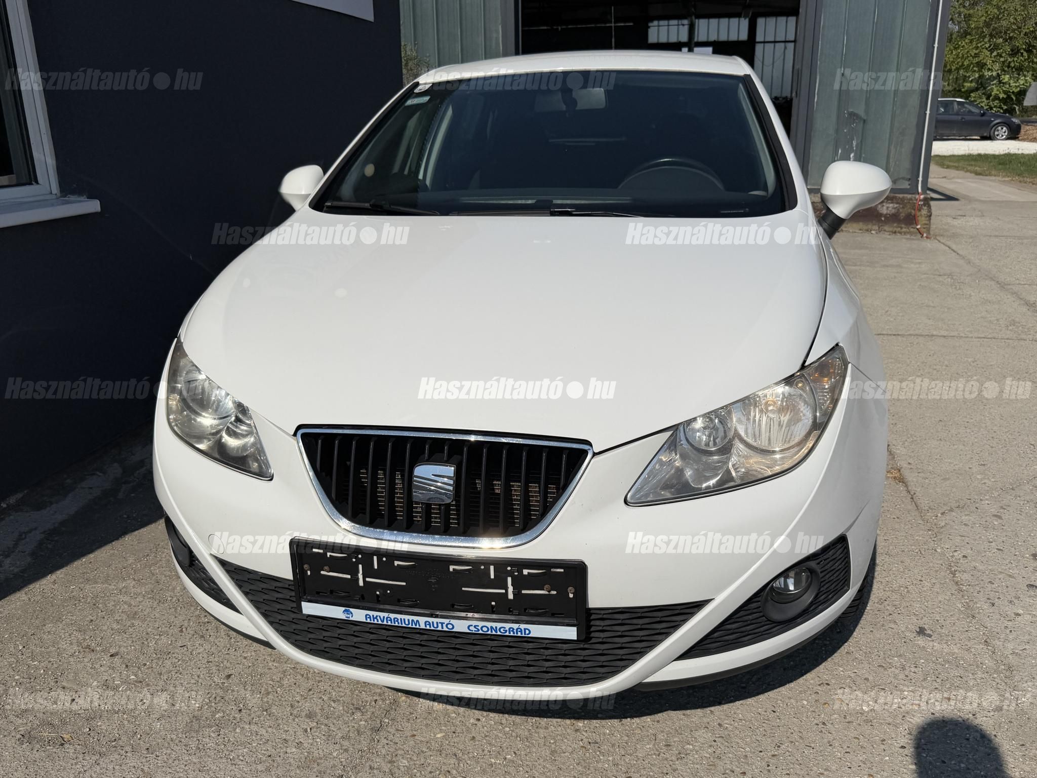 SEAT IBIZA 2009/1 - 1