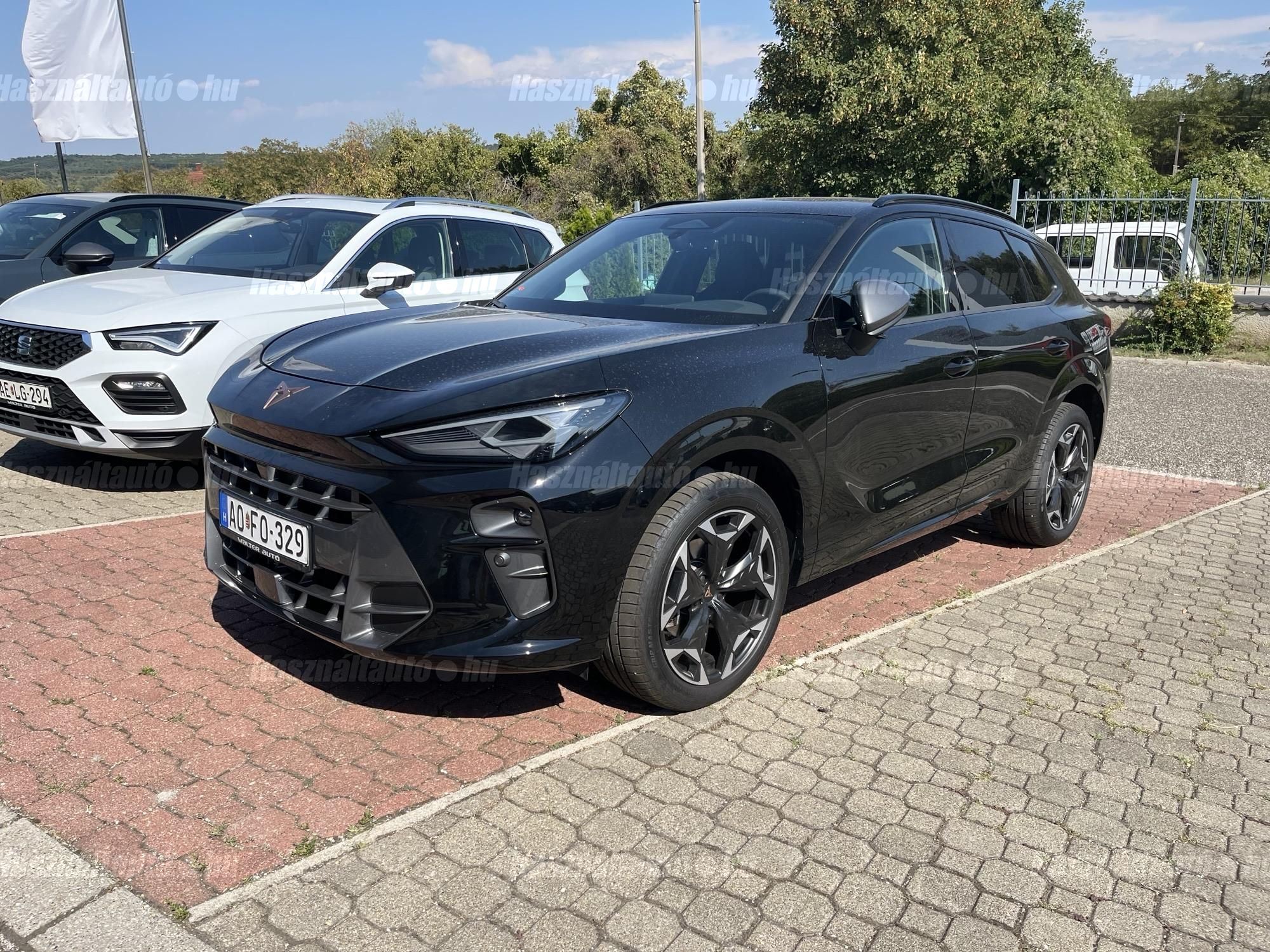 CUPRA TERRAMAR 2025/8 - 1