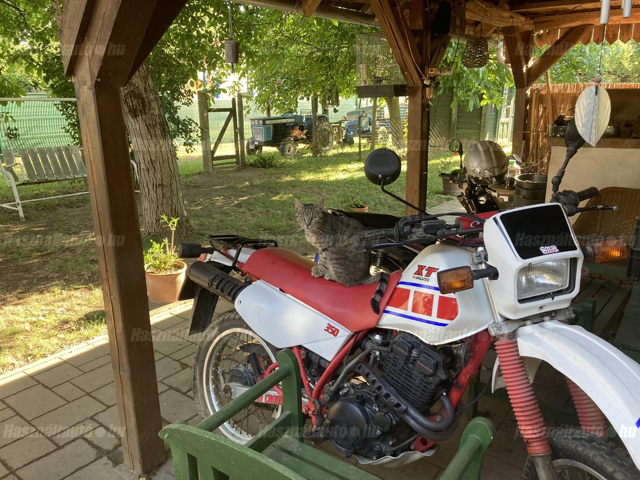 YAMAHA XT 1986 - 1