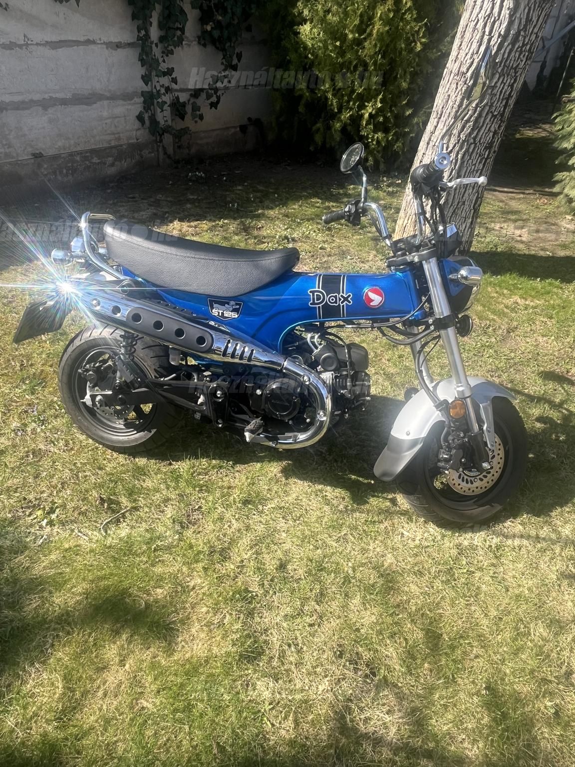 HONDA ST 50 DAX 2025 - 1