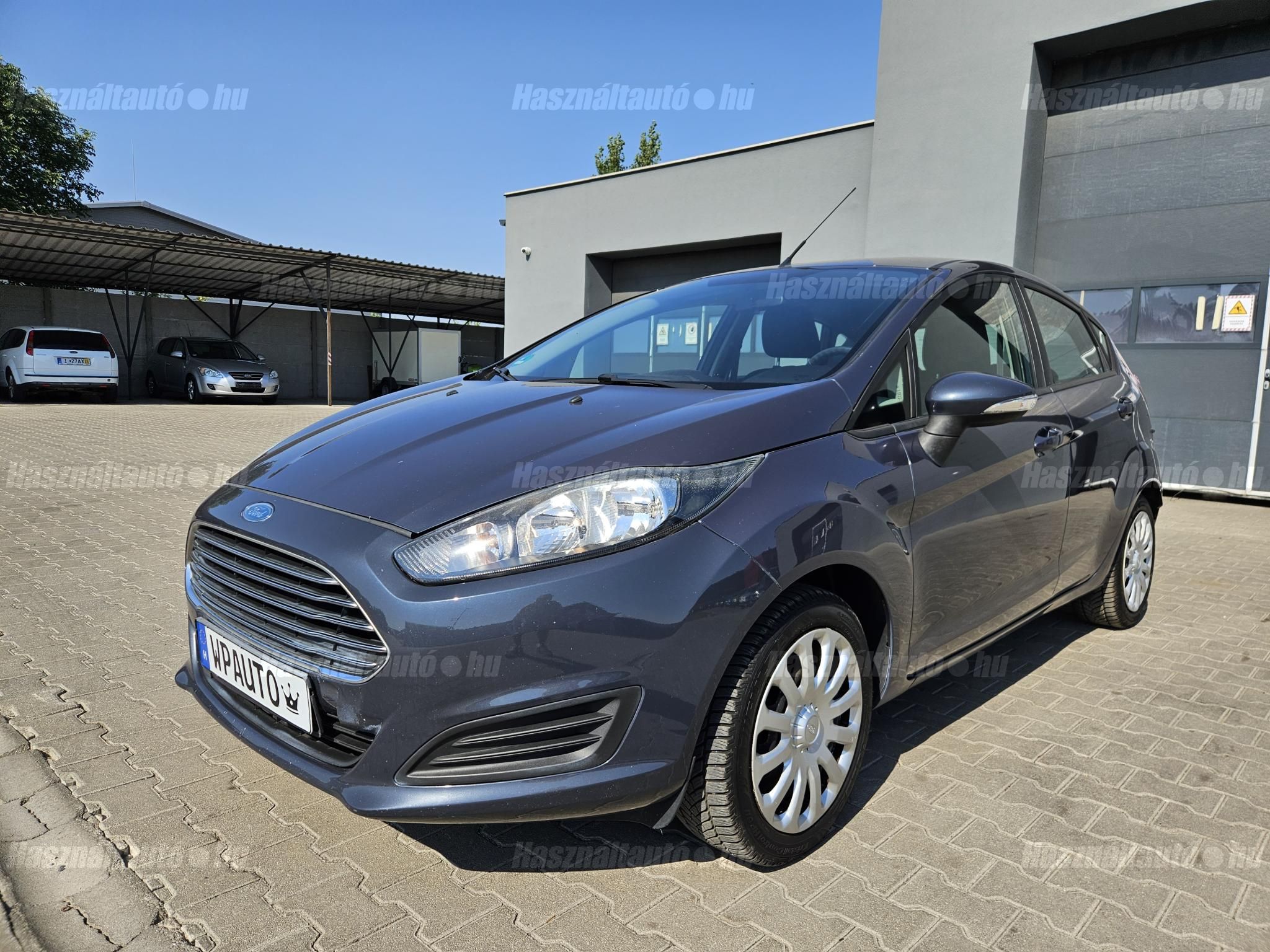 FORD FIESTA 2013/5 - 1