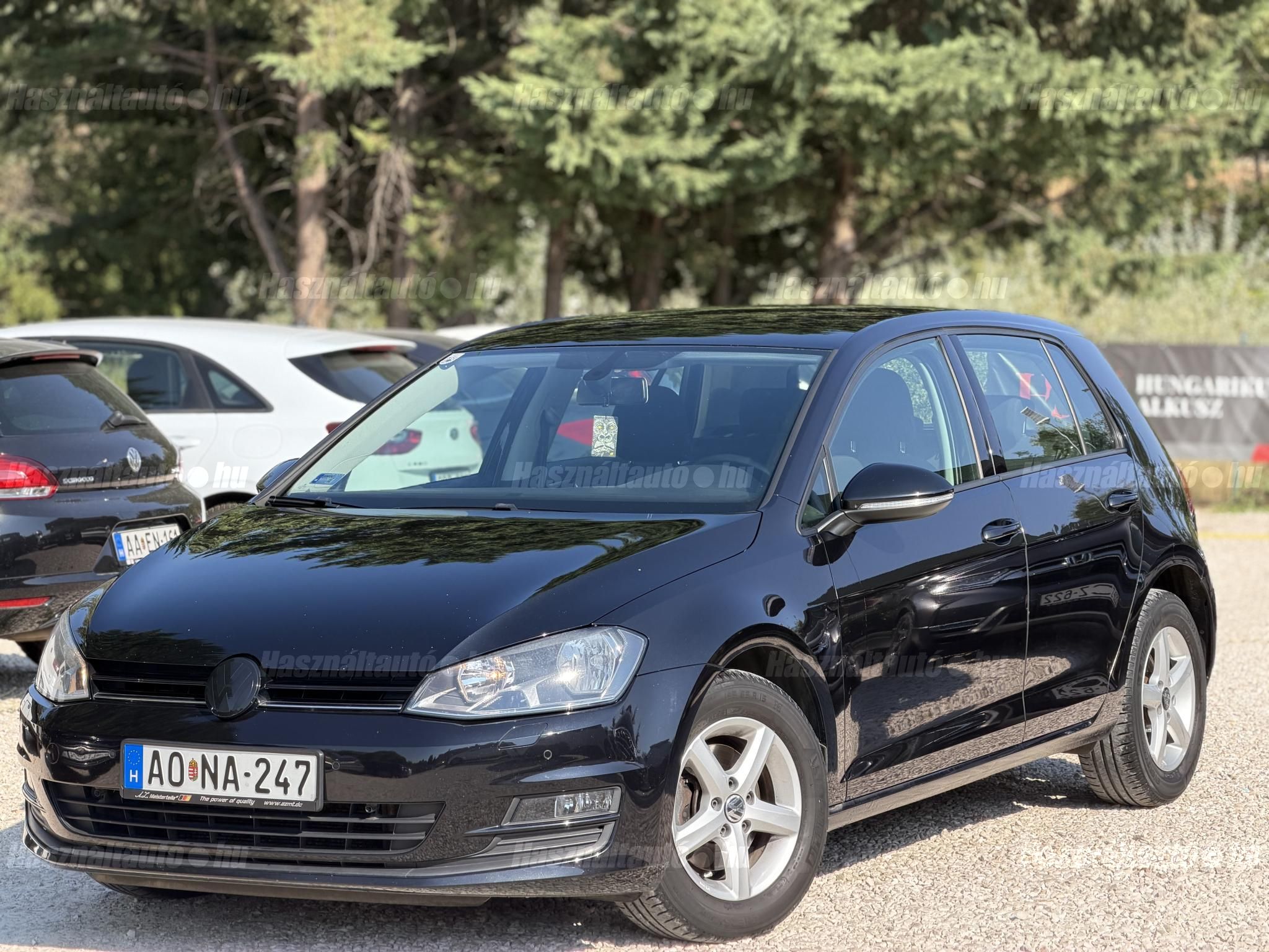 VOLKSWAGEN GOLF VII 2012/11 - 1