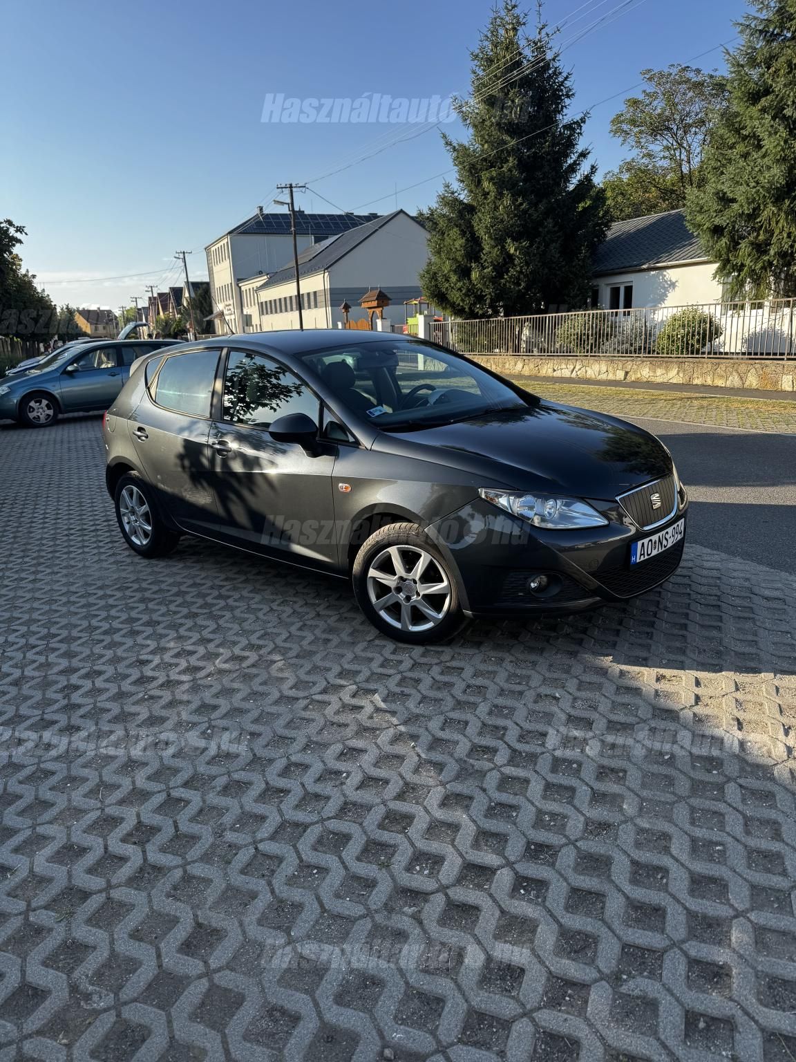 SEAT IBIZA 2010/8 - 1