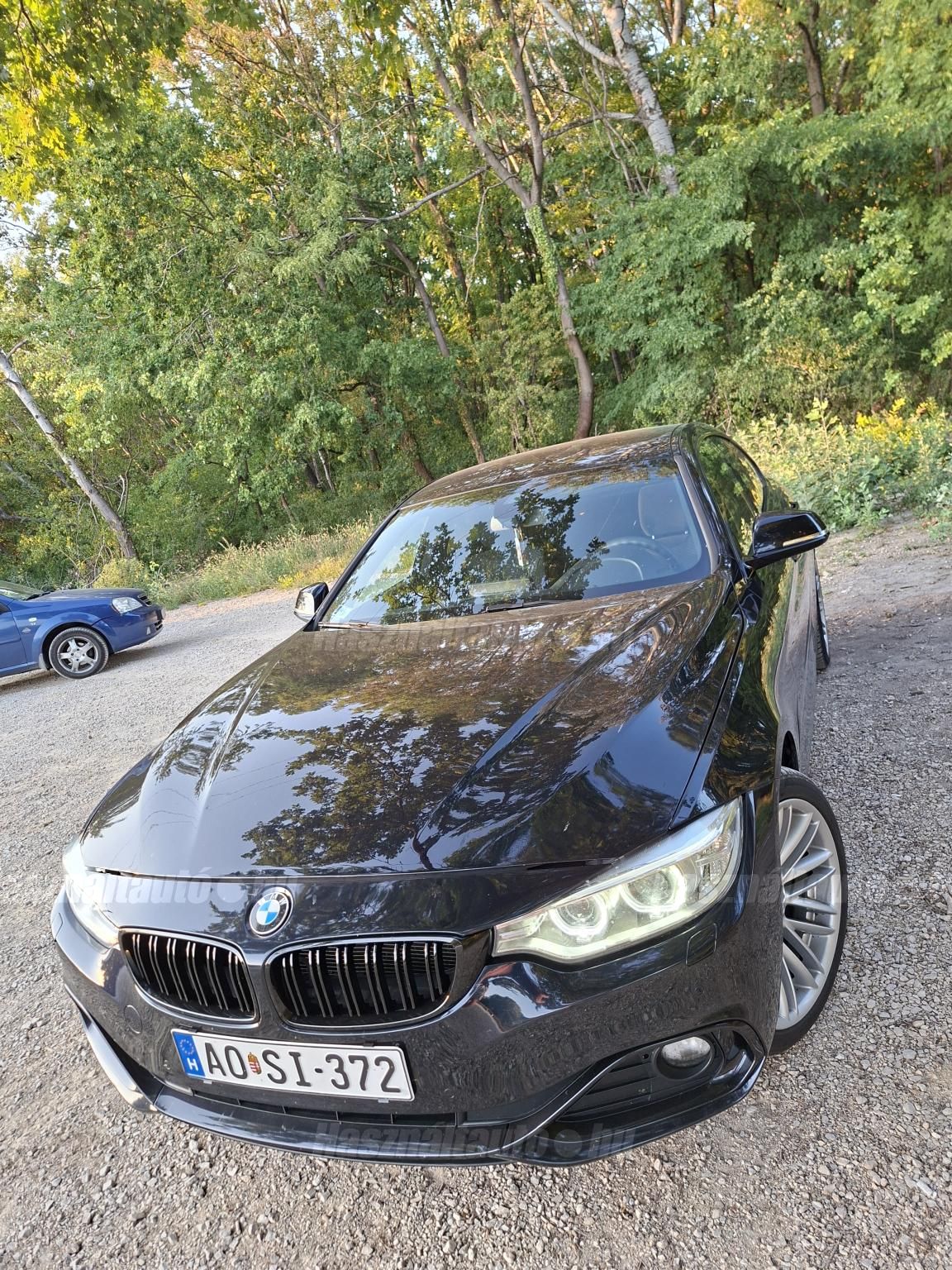 BMW 4-ES SOROZAT 2016 - 1