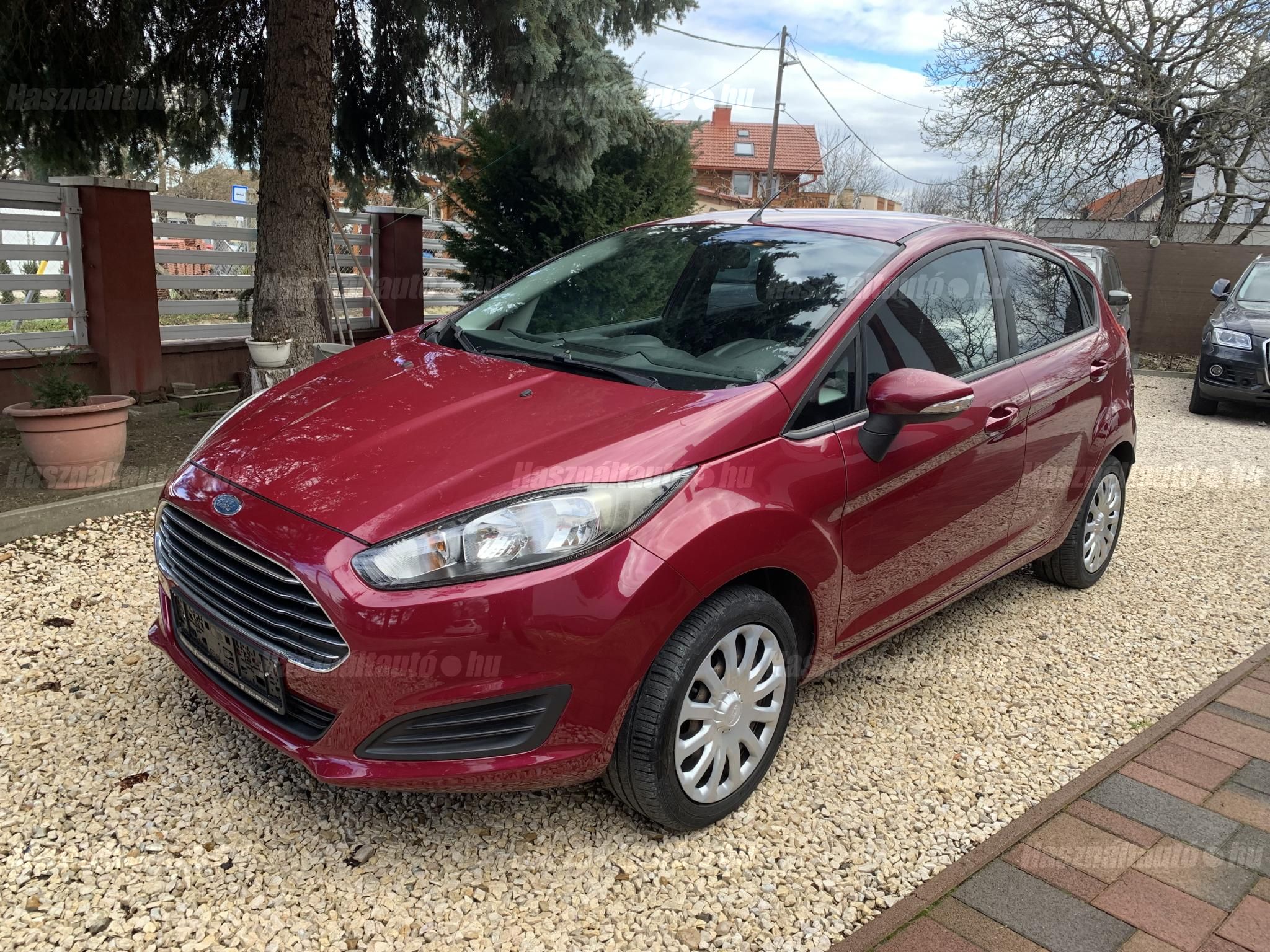 FORD FIESTA 2013/5 - 1