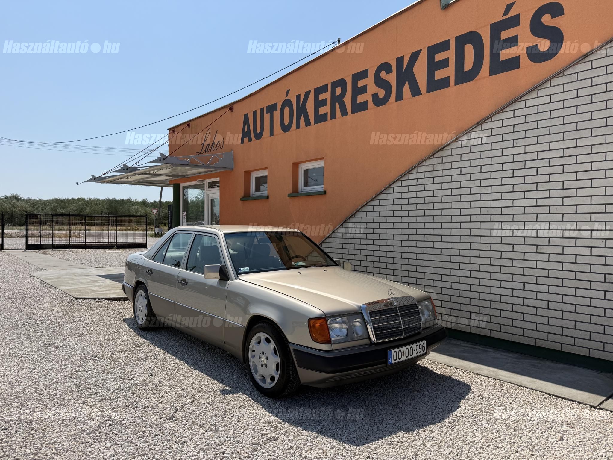MERCEDES-BENZ W 124 1991/2 - 1