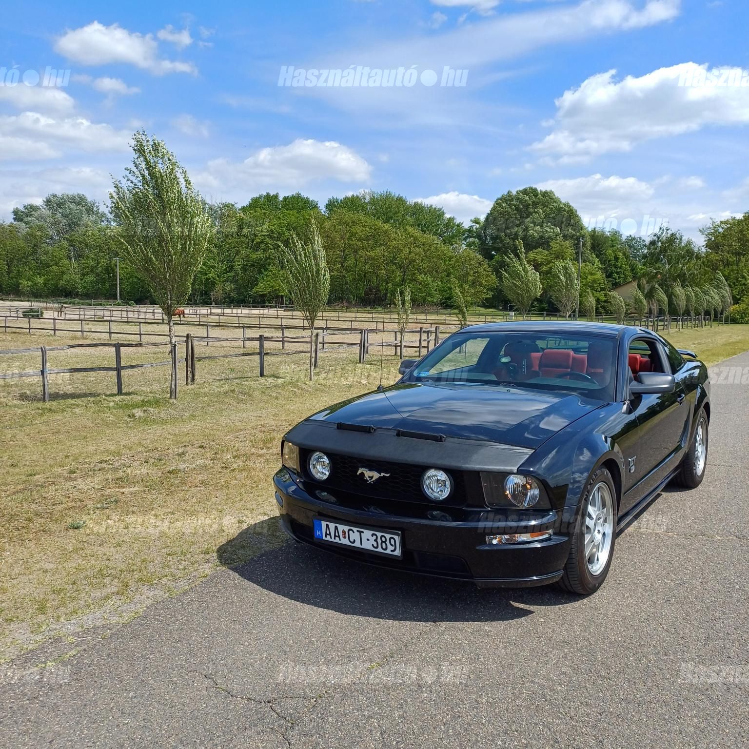 FORD MUSTANG 2005/4 - 1