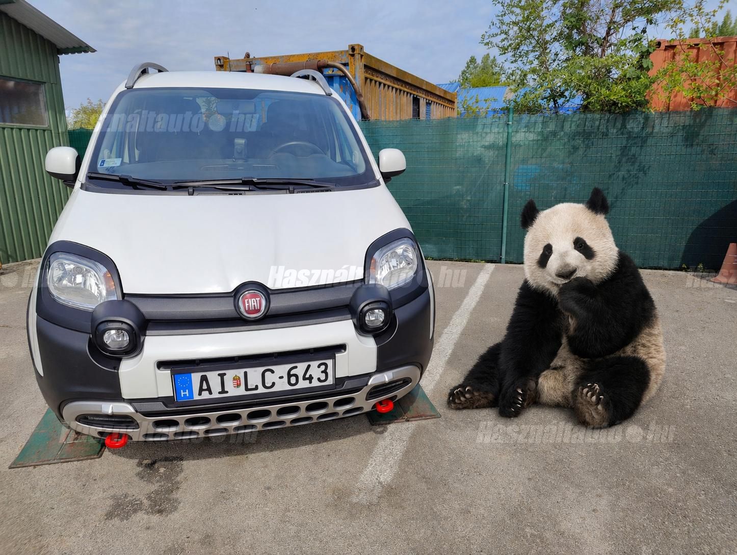 FIAT PANDA 2019/9 - 1