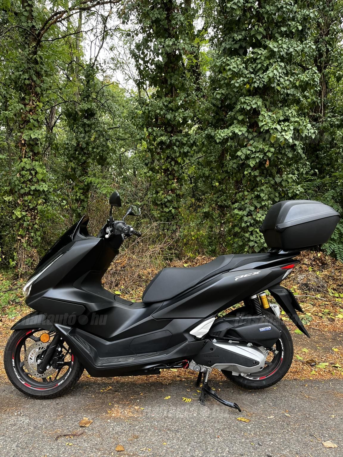 HONDA PCX 125 2025/6 - 1