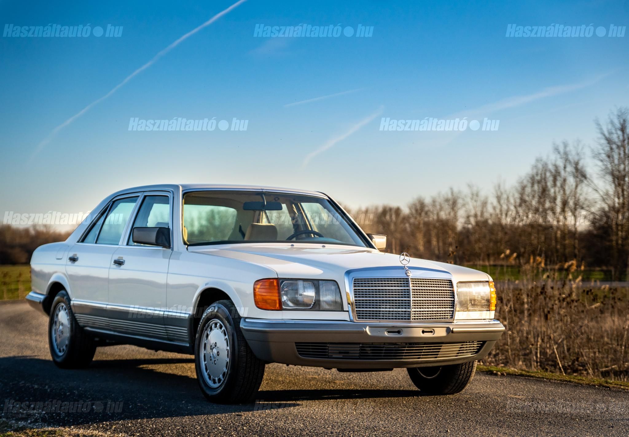 MERCEDES-BENZ 500 1983 - 1