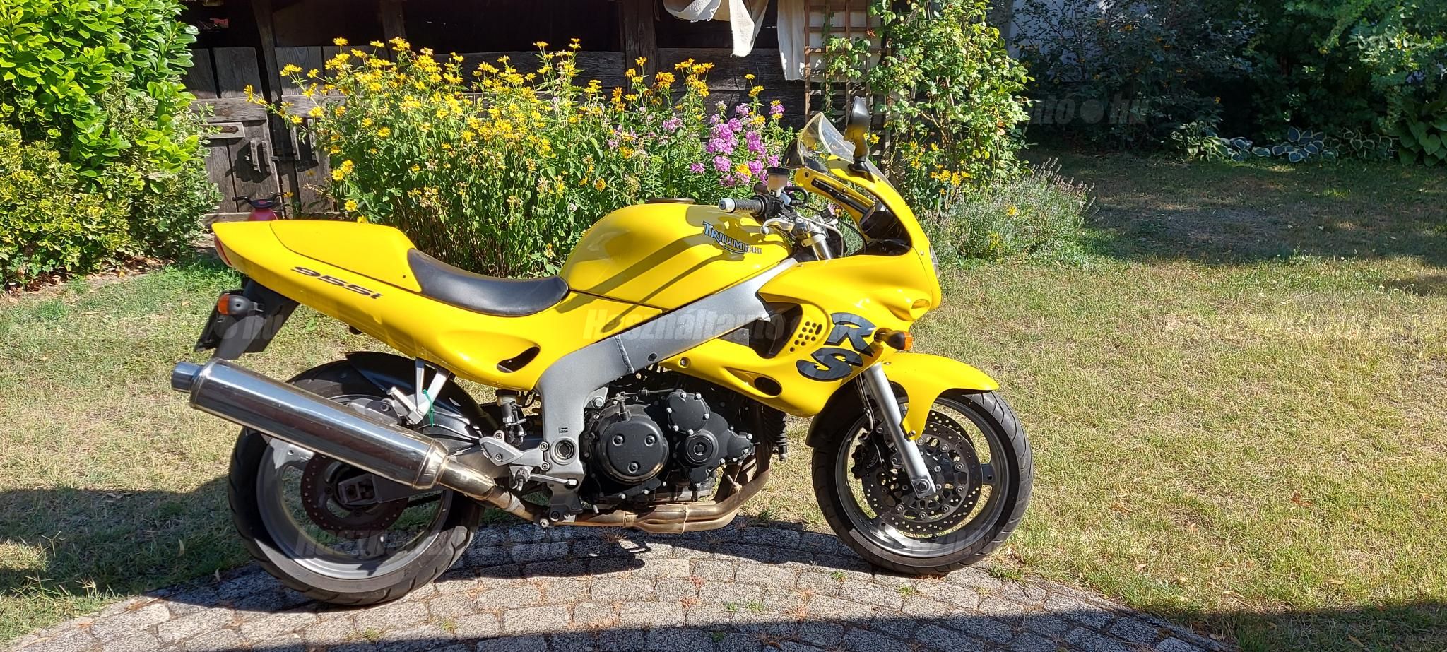 TRIUMPH SPRINT RS 2002/5 - 1