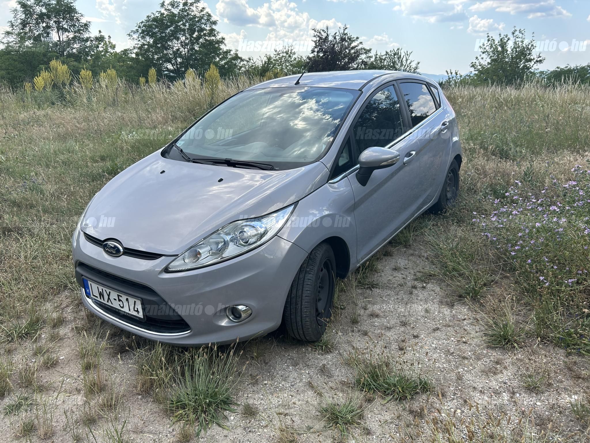 FORD FIESTA 2011/6 - 1