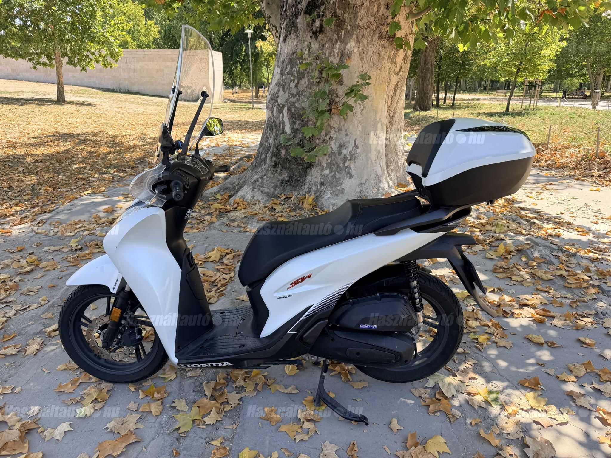 HONDA SH 150 2024/4 - 1