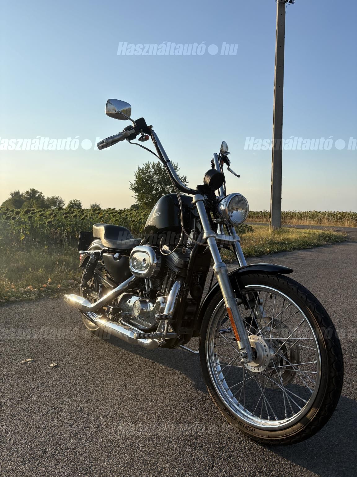 HARLEY-DAVIDSON SPORTSTER 883 2003/8 - 1
