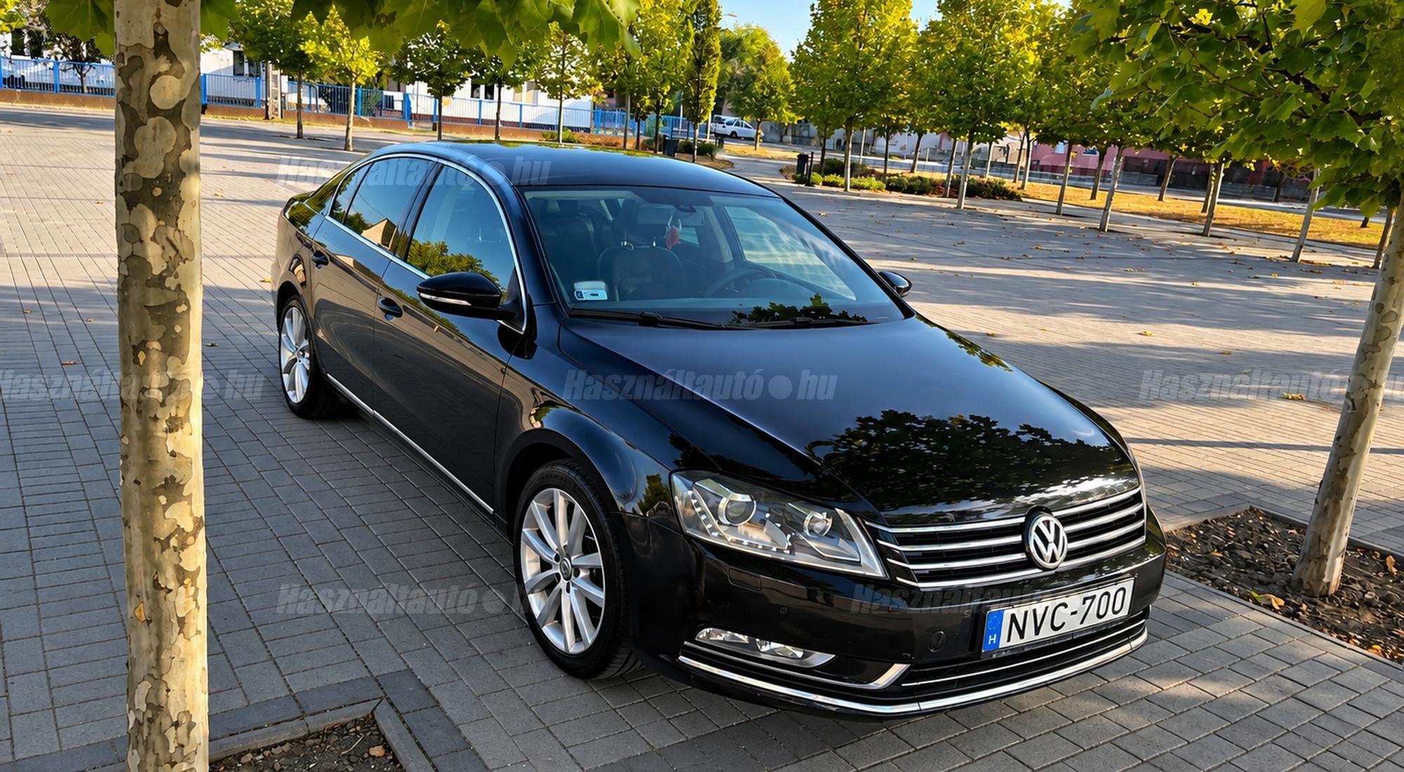 VOLKSWAGEN PASSAT 2013 - 1