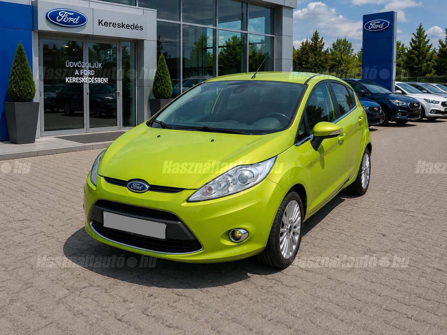 FORD FIESTA 2009/11 - 1