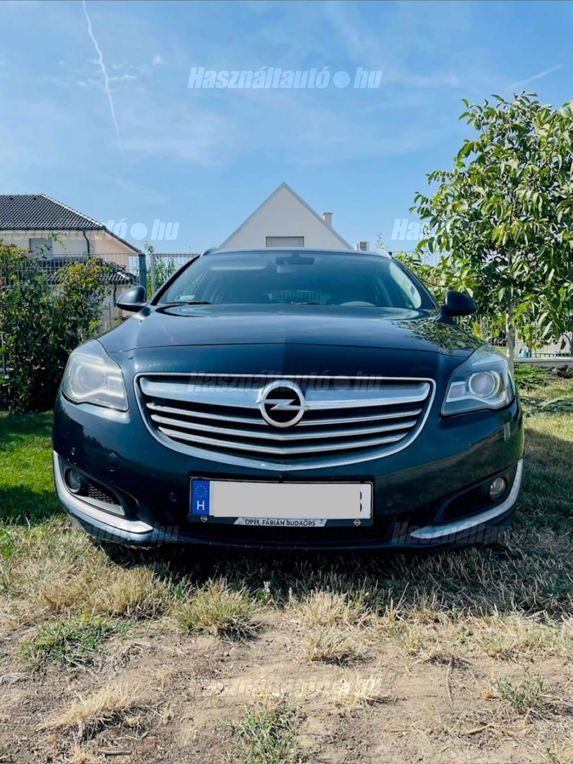 OPEL INSIGNIA 2013 - 1