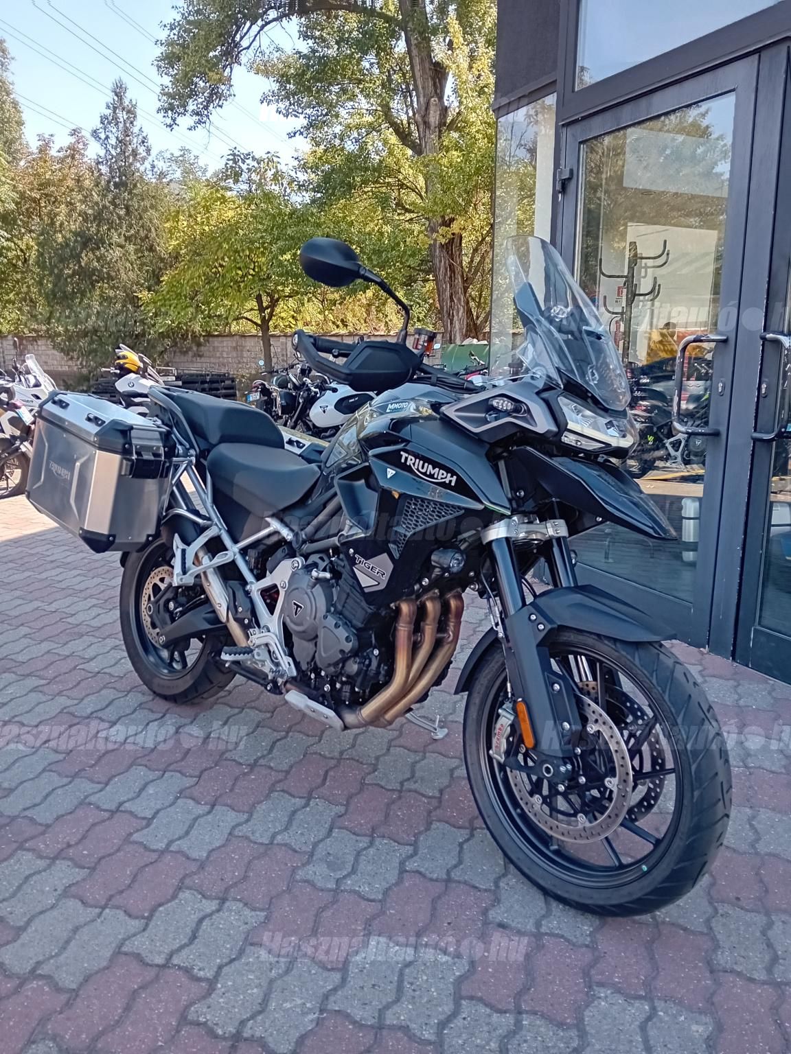 TRIUMPH TIGER 1200 2024 - 1