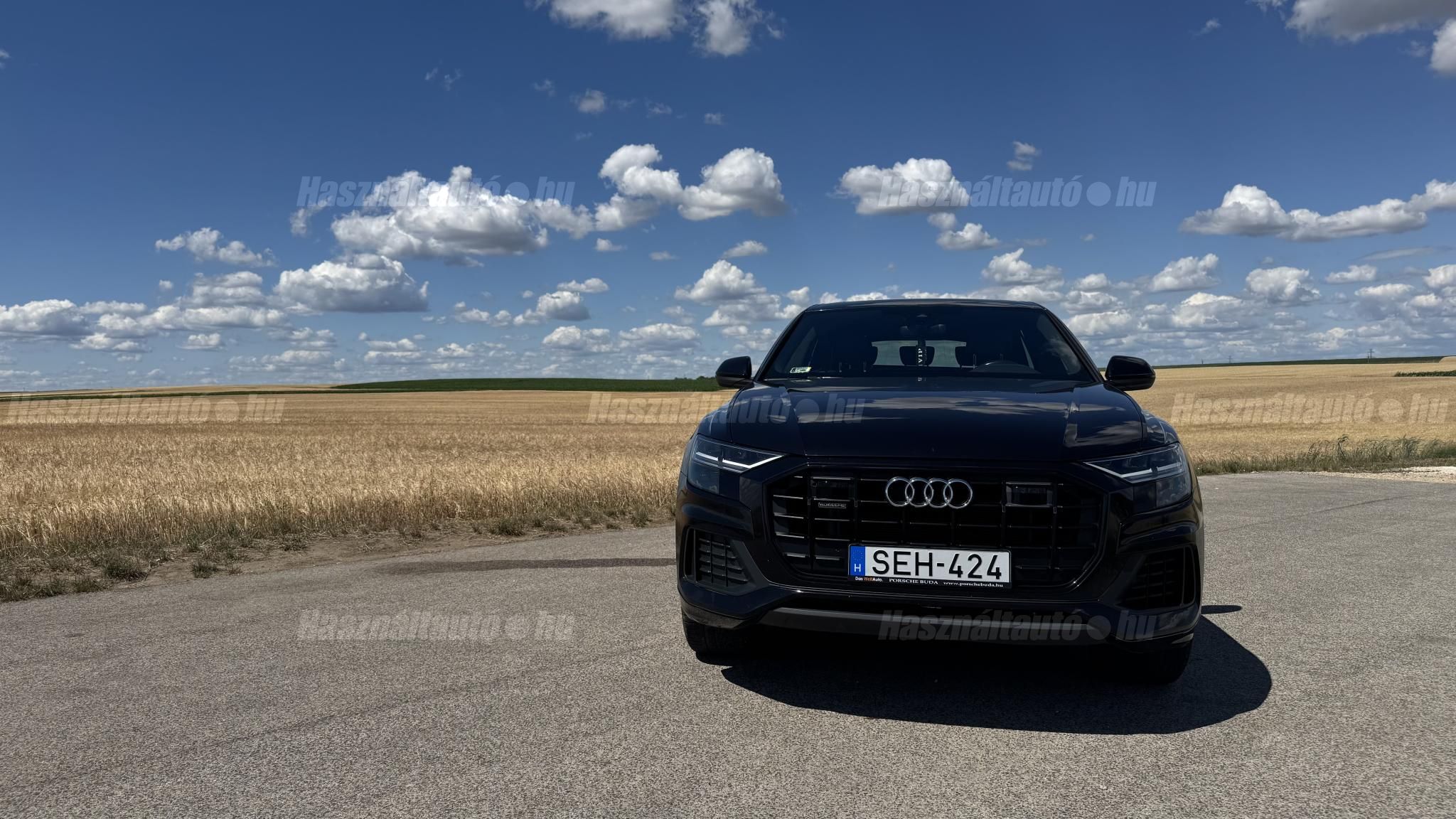 AUDI Q8 2019/7 - 1