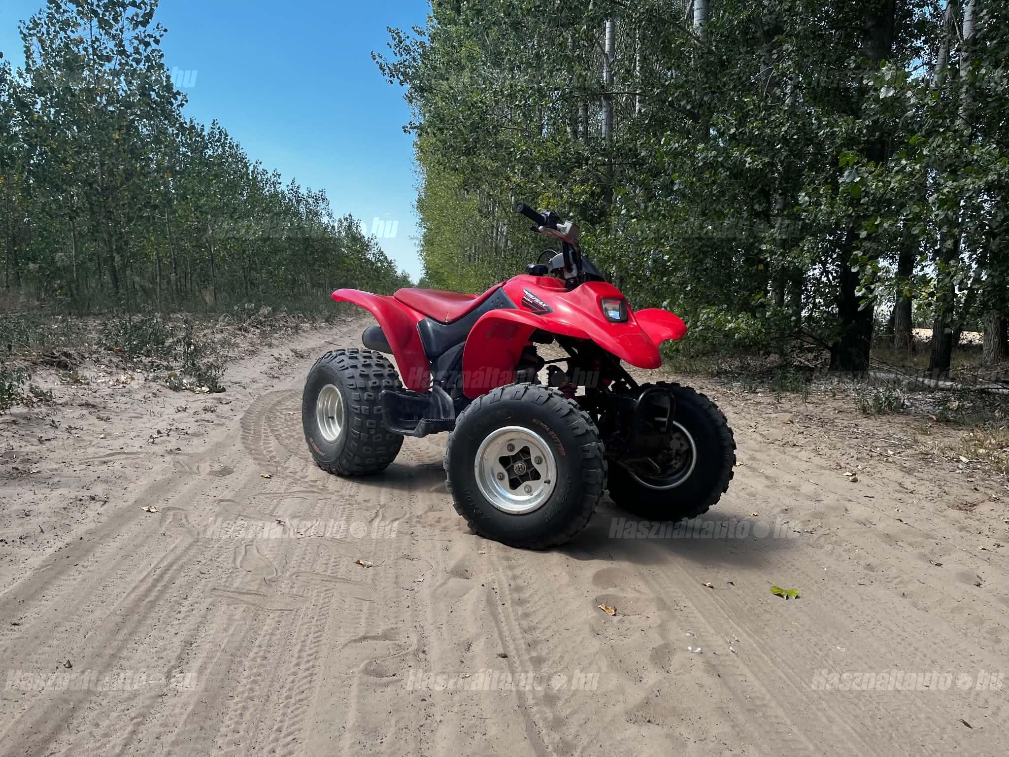 HONDA TRX 250 EX 2005/1 - 1