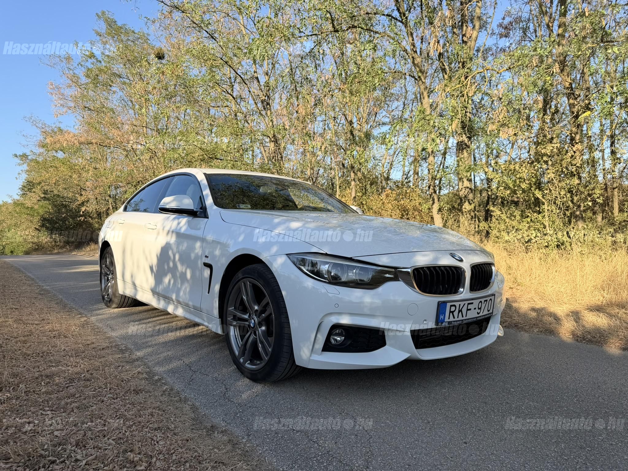 BMW 420 2019/5 - 1