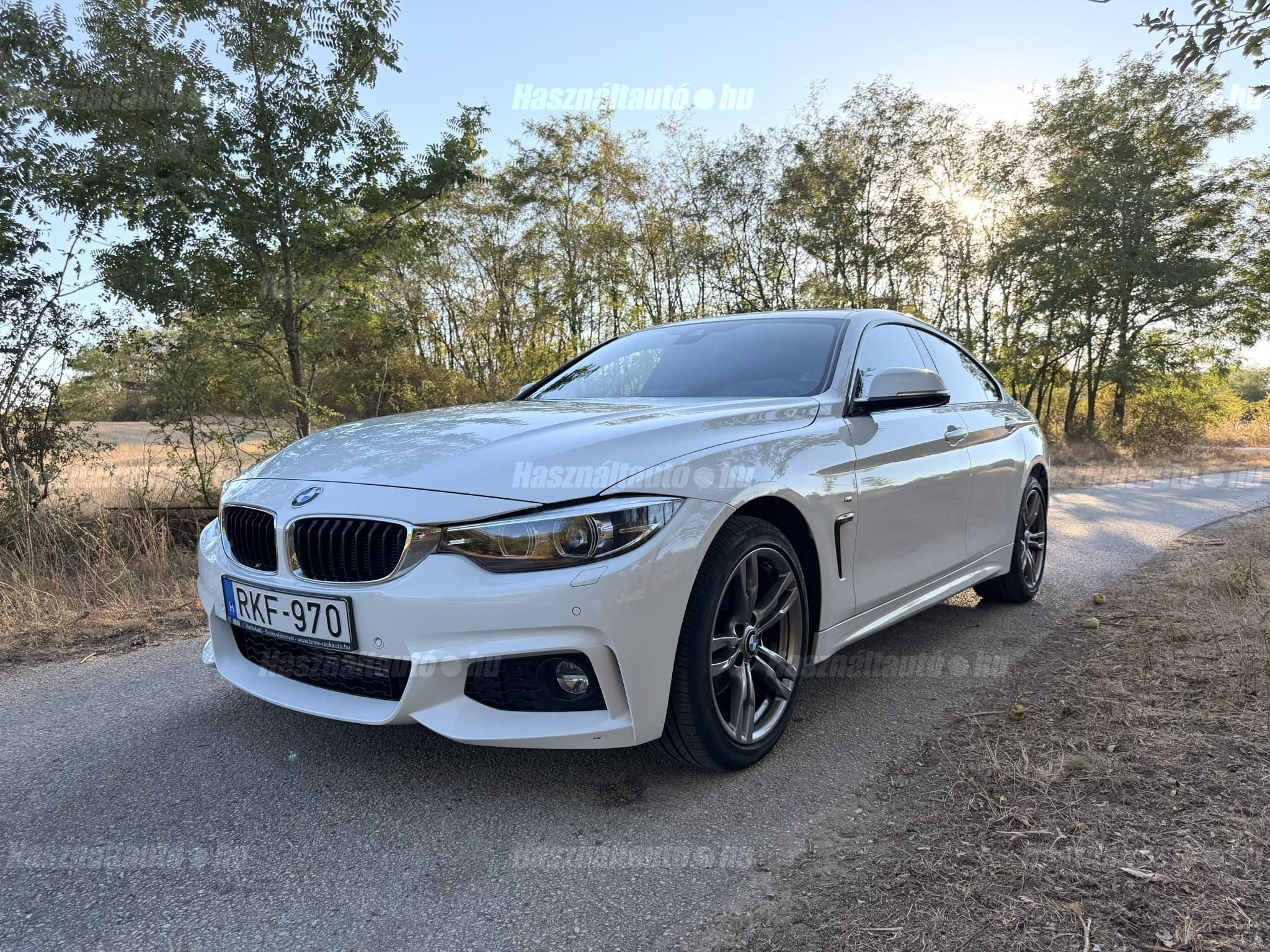 BMW 420 2019/5 - 1