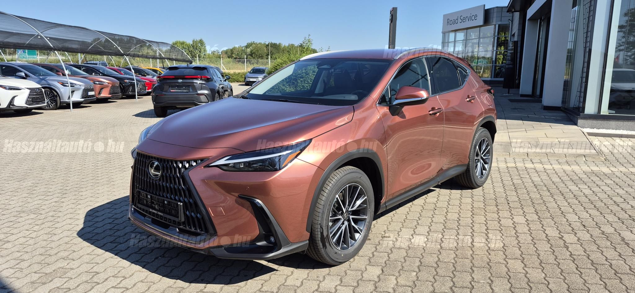 LEXUS NX 2025/11 - 1