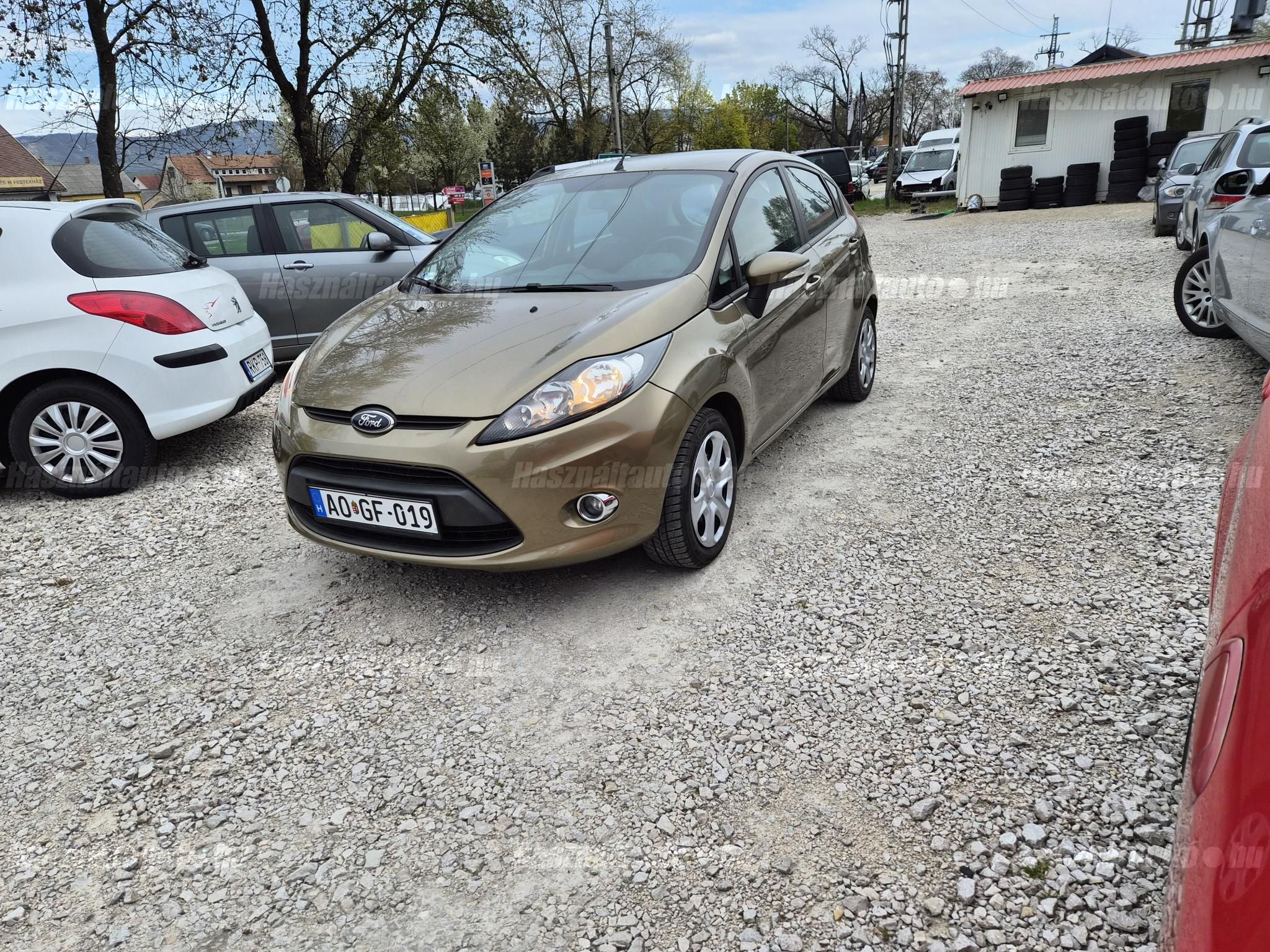 FORD FIESTA 2012/6 - 1