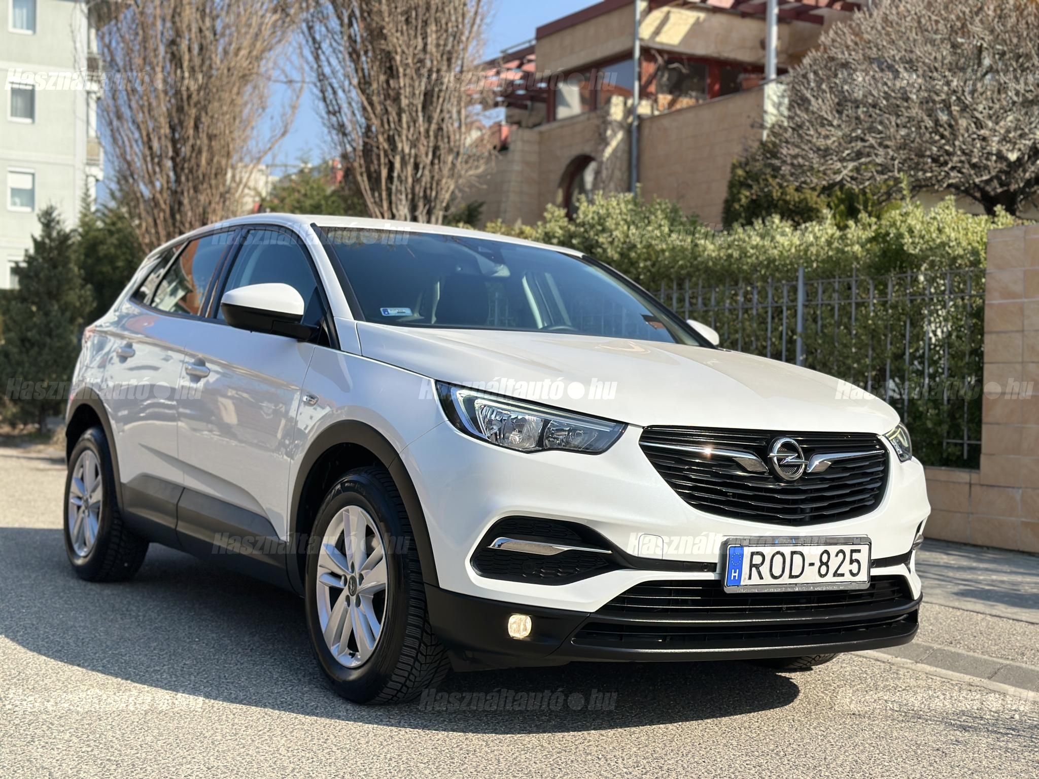 OPEL GRANDLAND X 2019/7 - 1