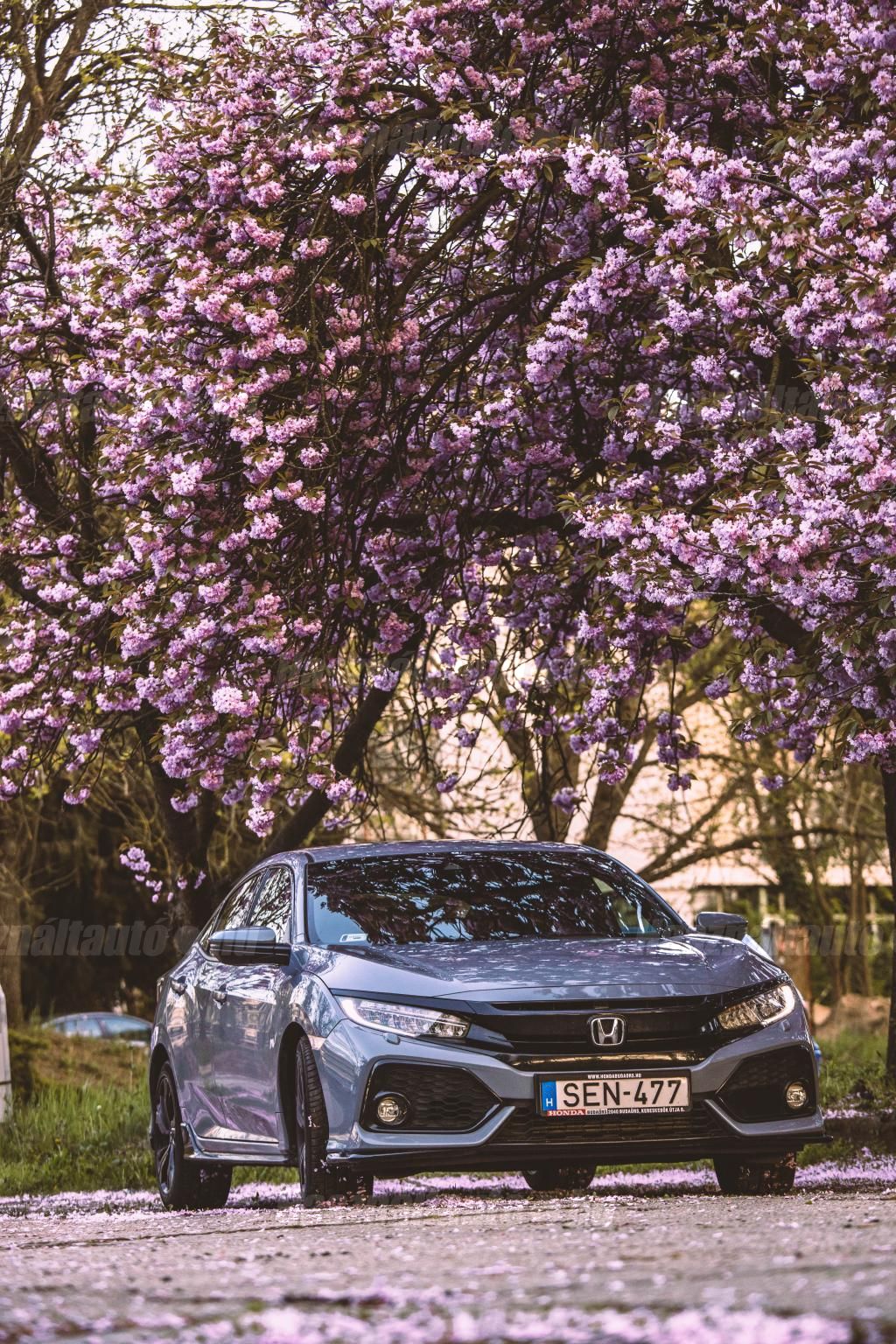 HONDA CIVIC 2018 - 1
