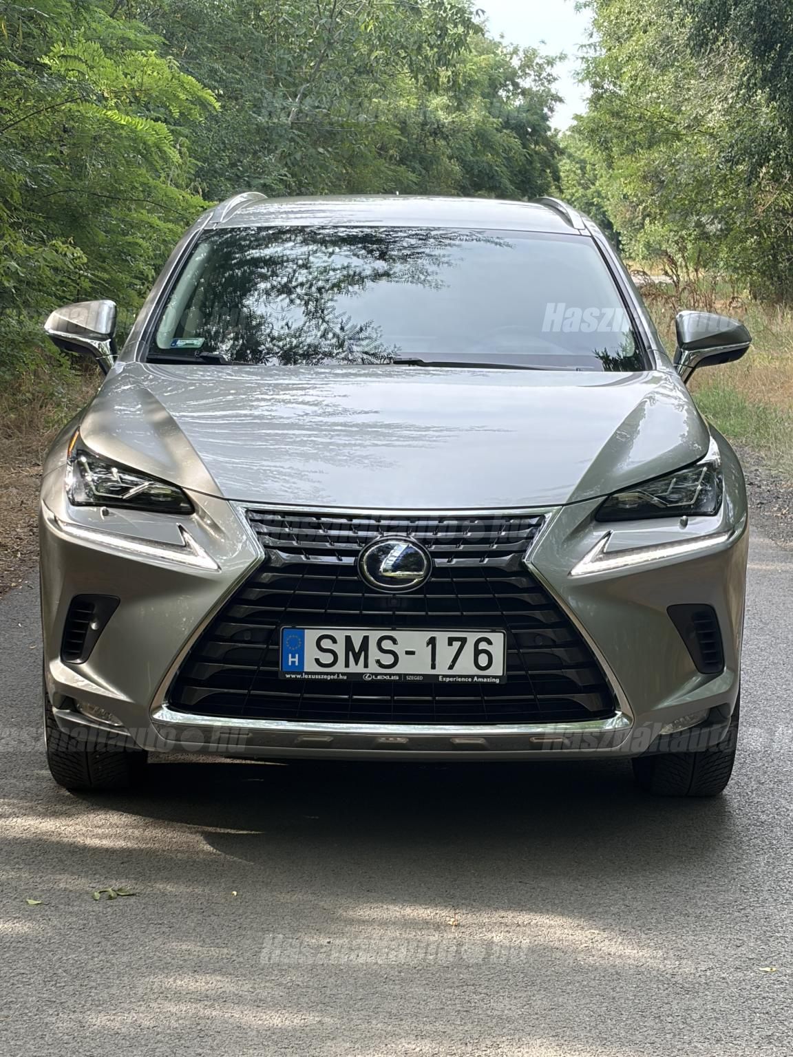 LEXUS NX 2021/1 - 1