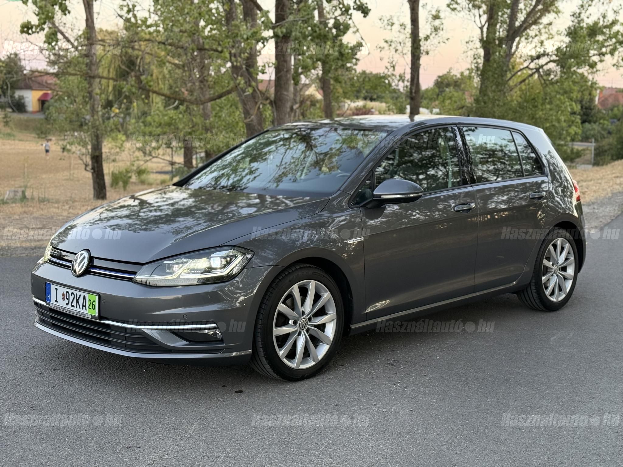 VOLKSWAGEN GOLF VII 2019/7 - 1