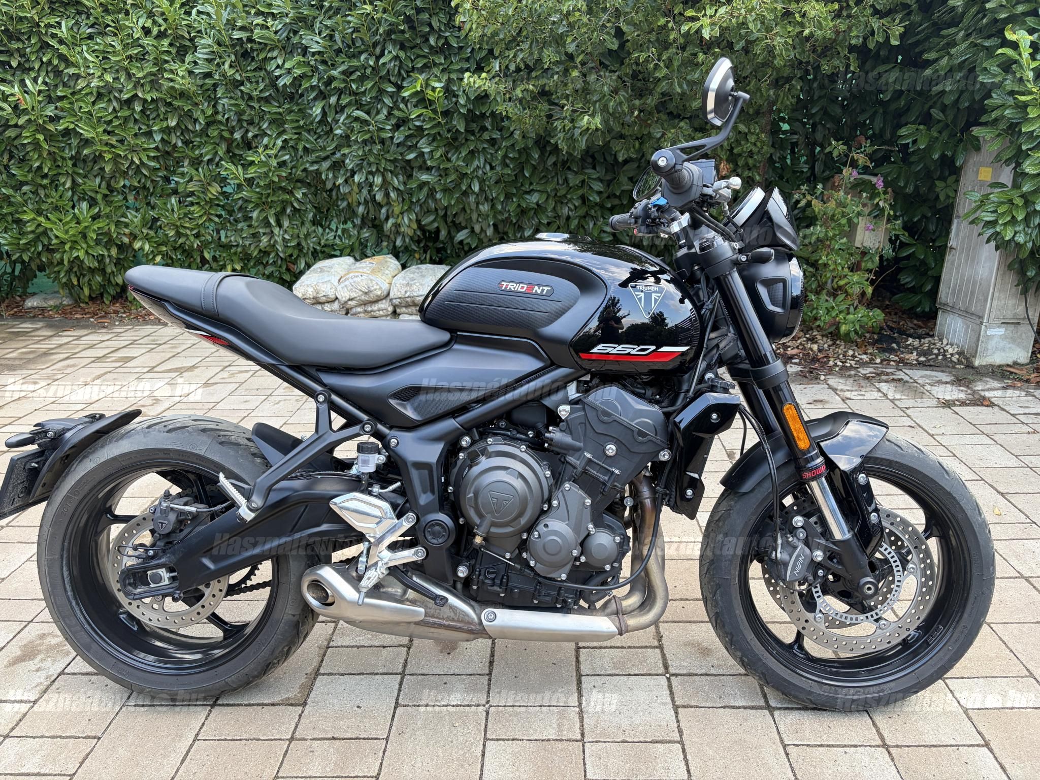 TRIUMPH TRIDENT 2025/7 - 1