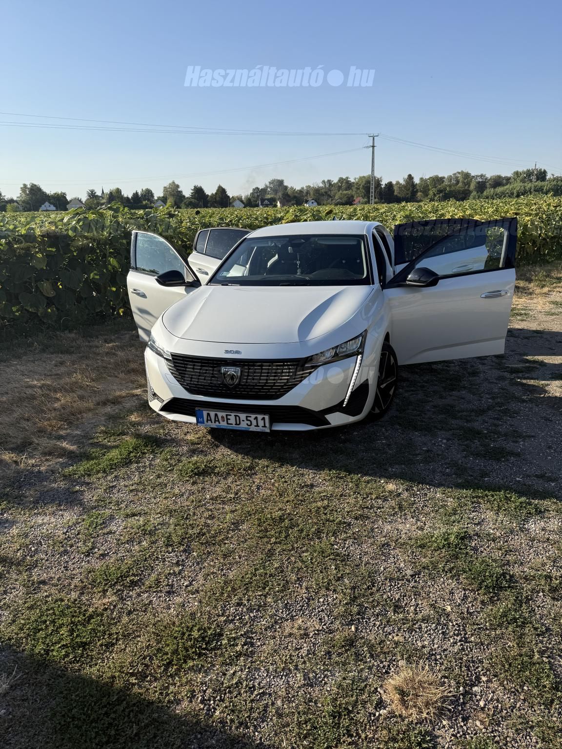 PEUGEOT 308 2022/7 - 1