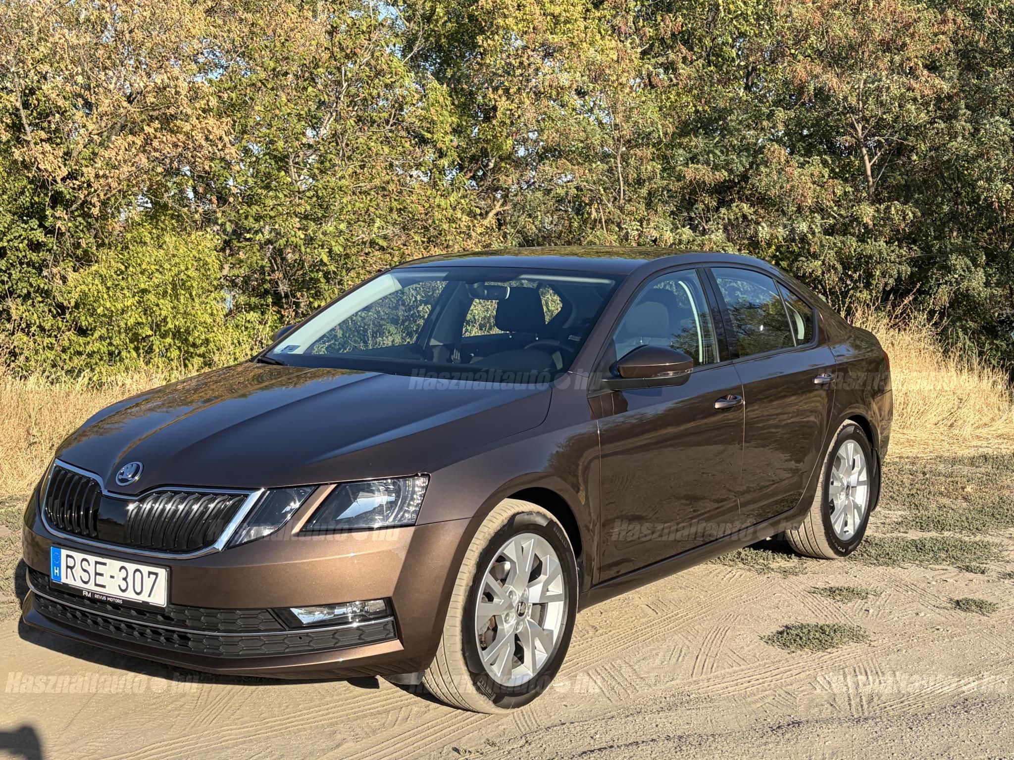 SKODA OCTAVIA 2019/10 - 1
