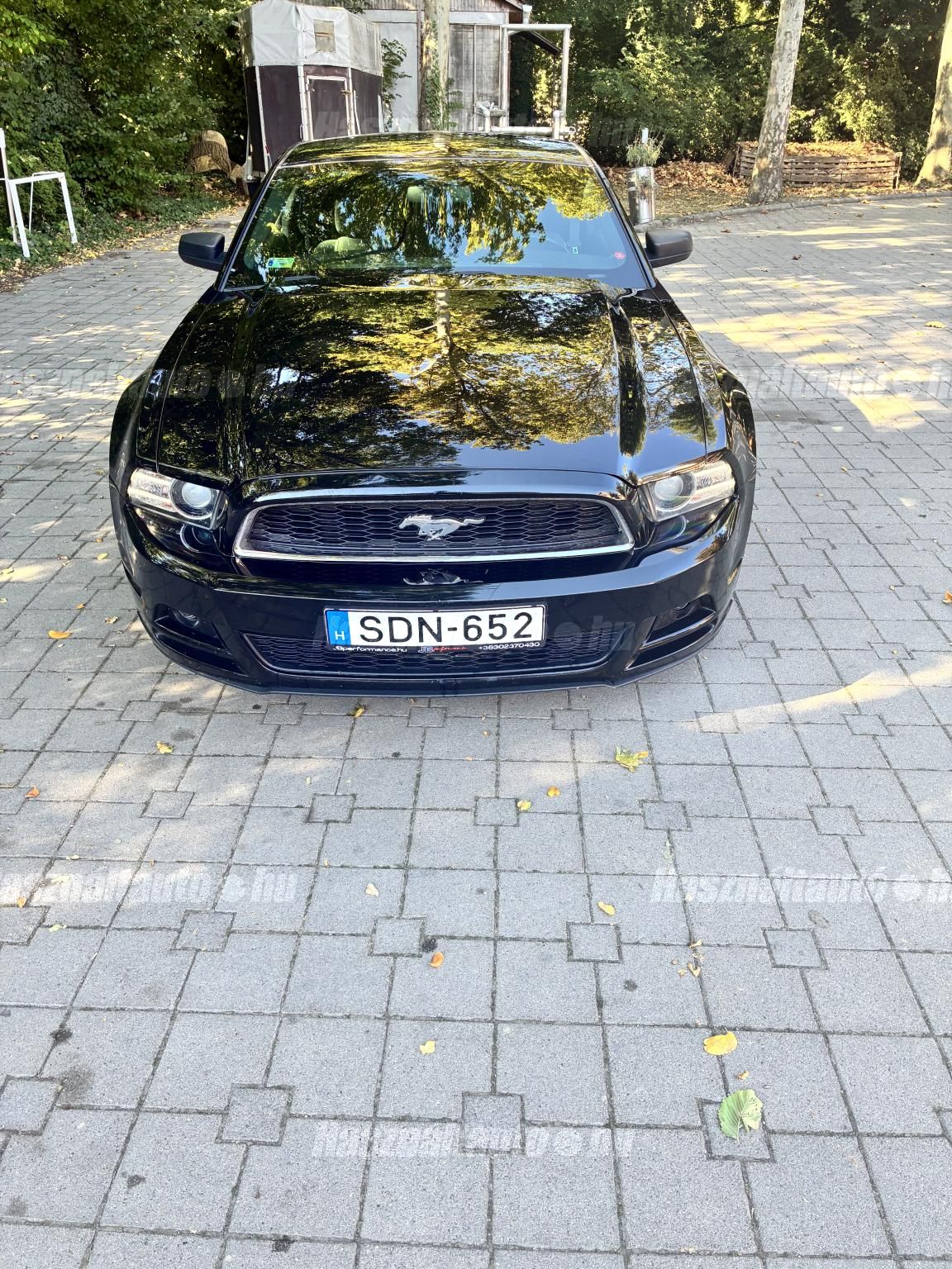 FORD MUSTANG 2014/12 - 1
