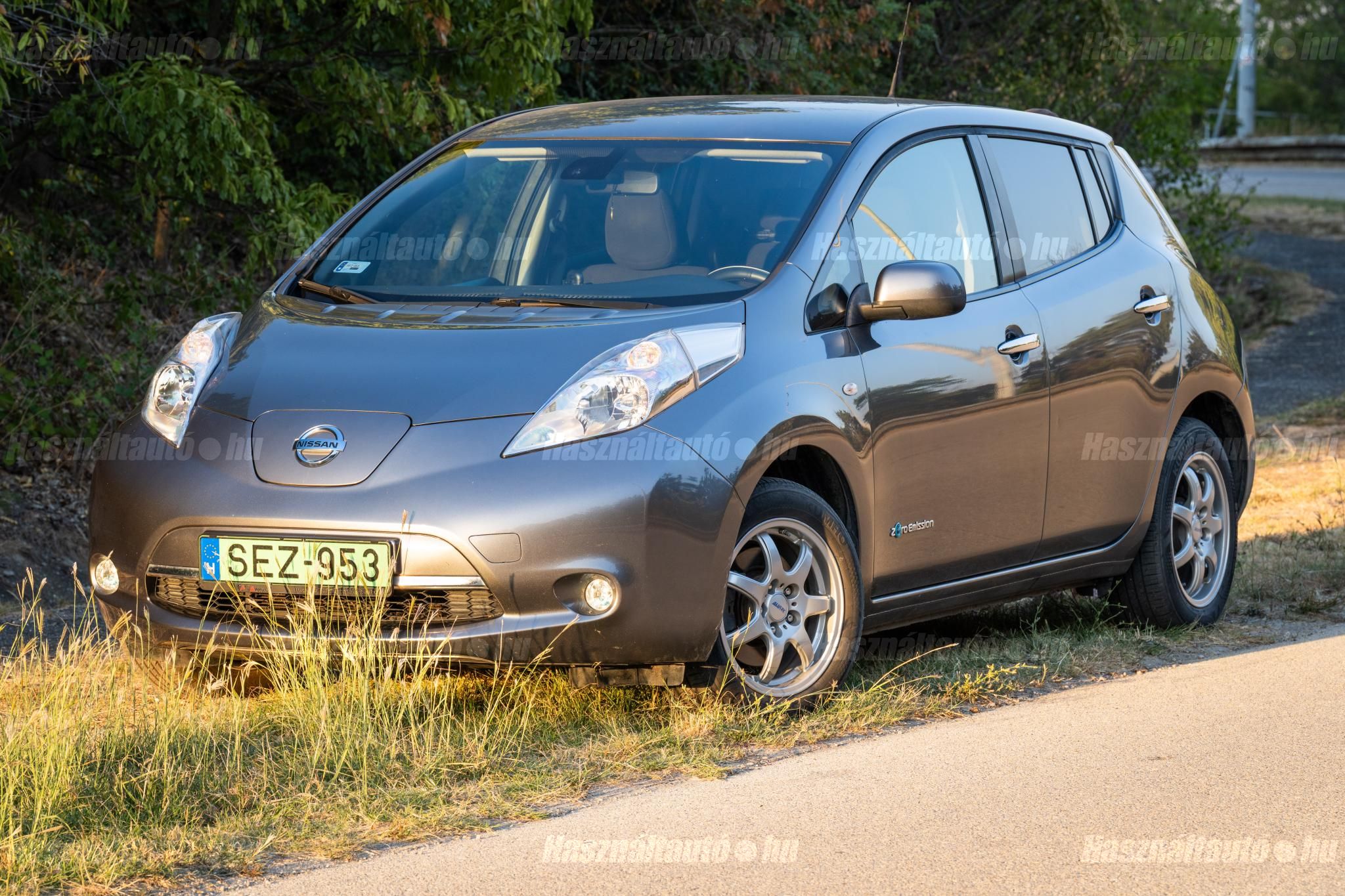 NISSAN LEAF 2017/3 - 1