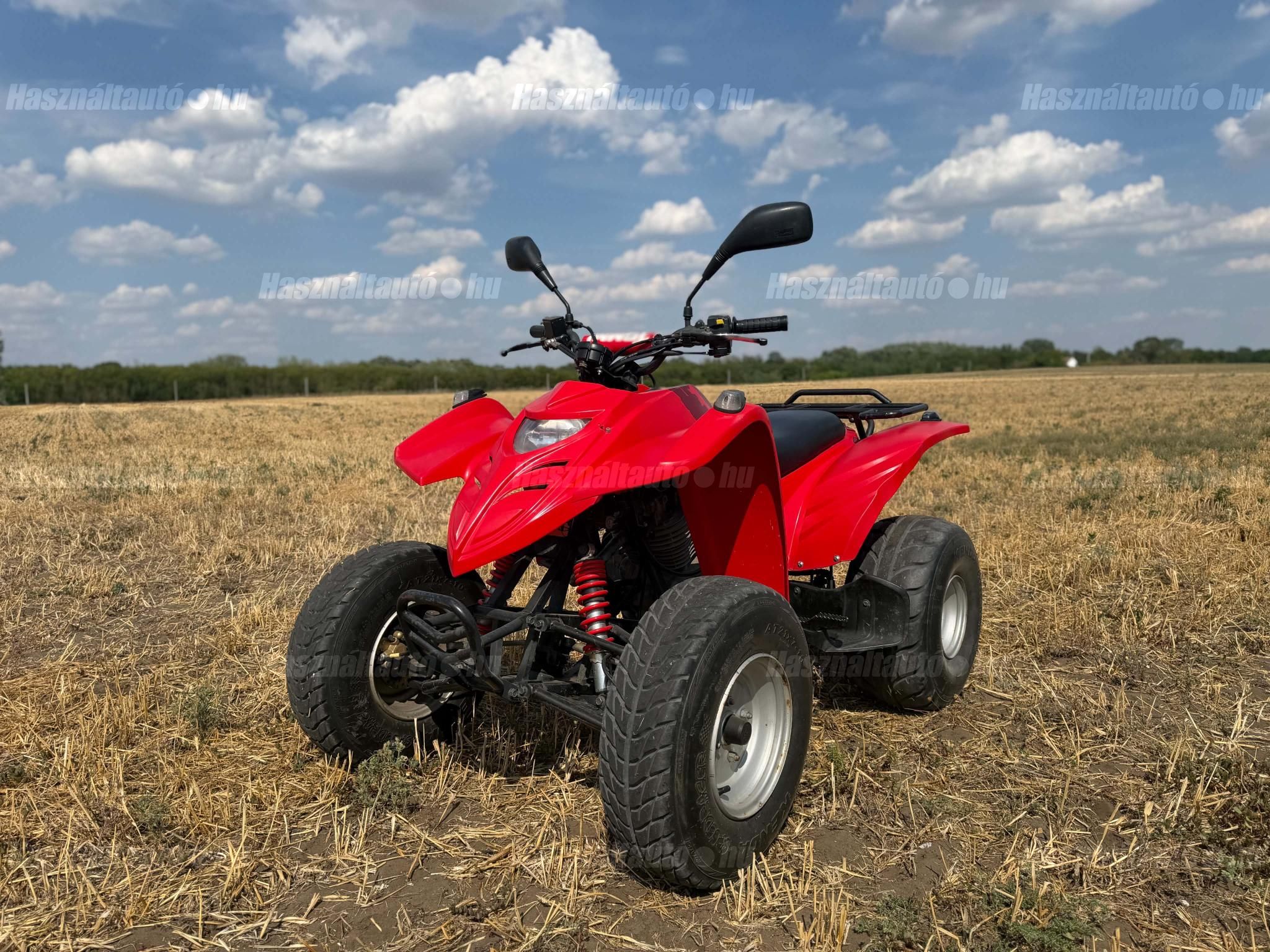 ADLY ATV 300 2004/4 - 1