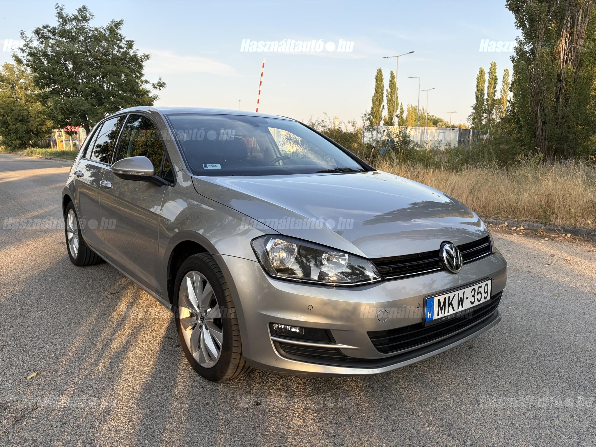 VOLKSWAGEN GOLF VII 2013/7 - 1