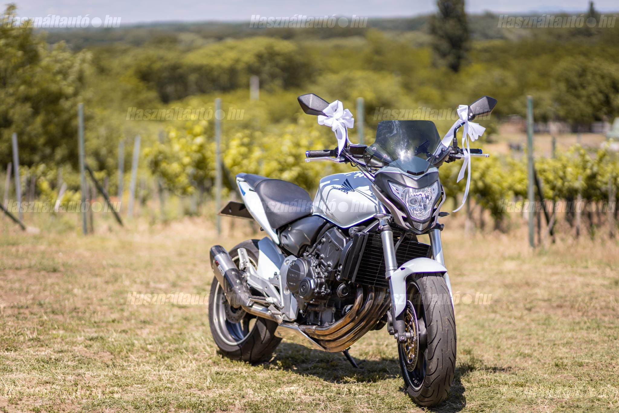 HONDA CB 600 F (HORNET) 2012/3 - 1