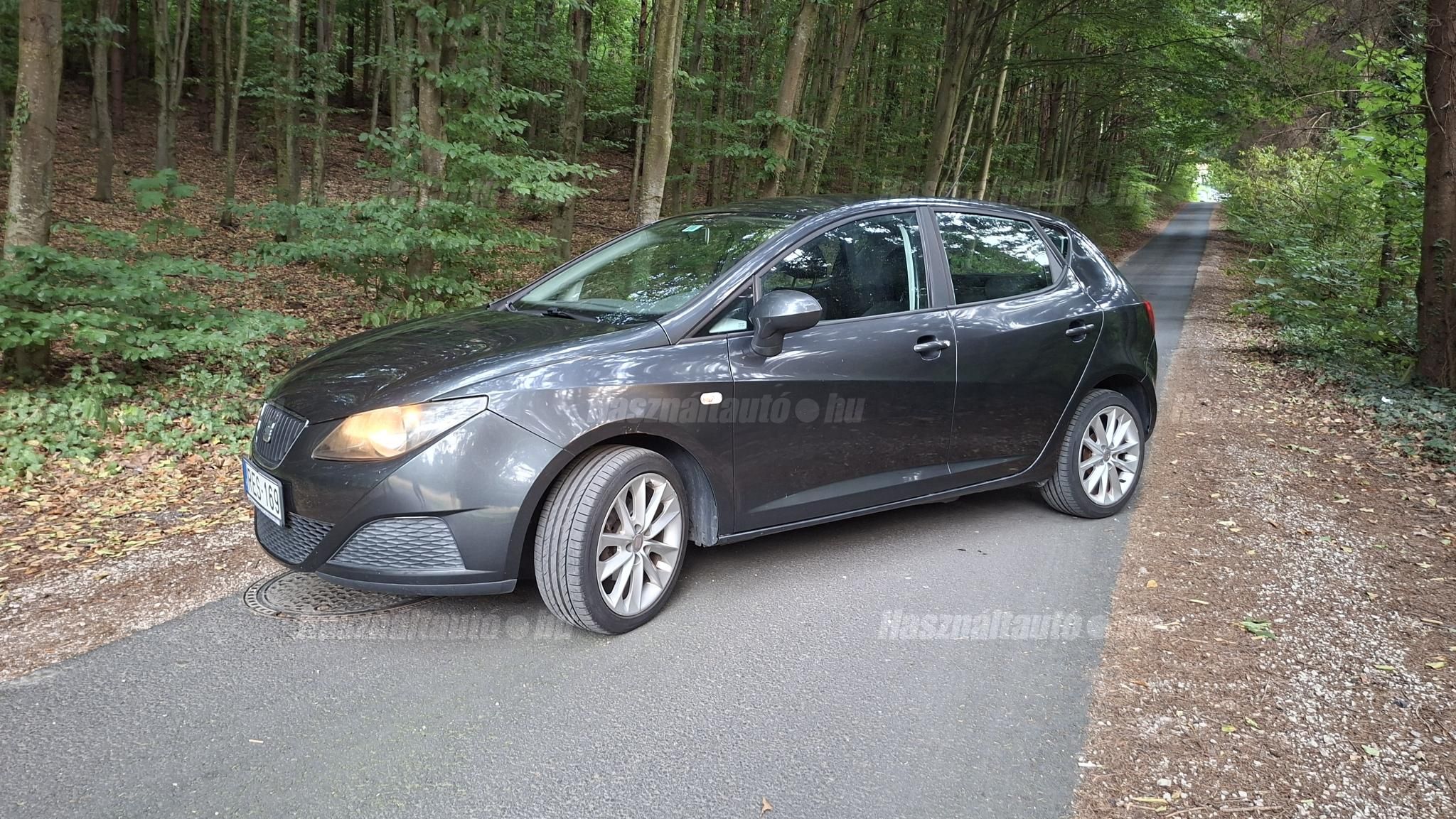 SEAT IBIZA 2008/11 - 1